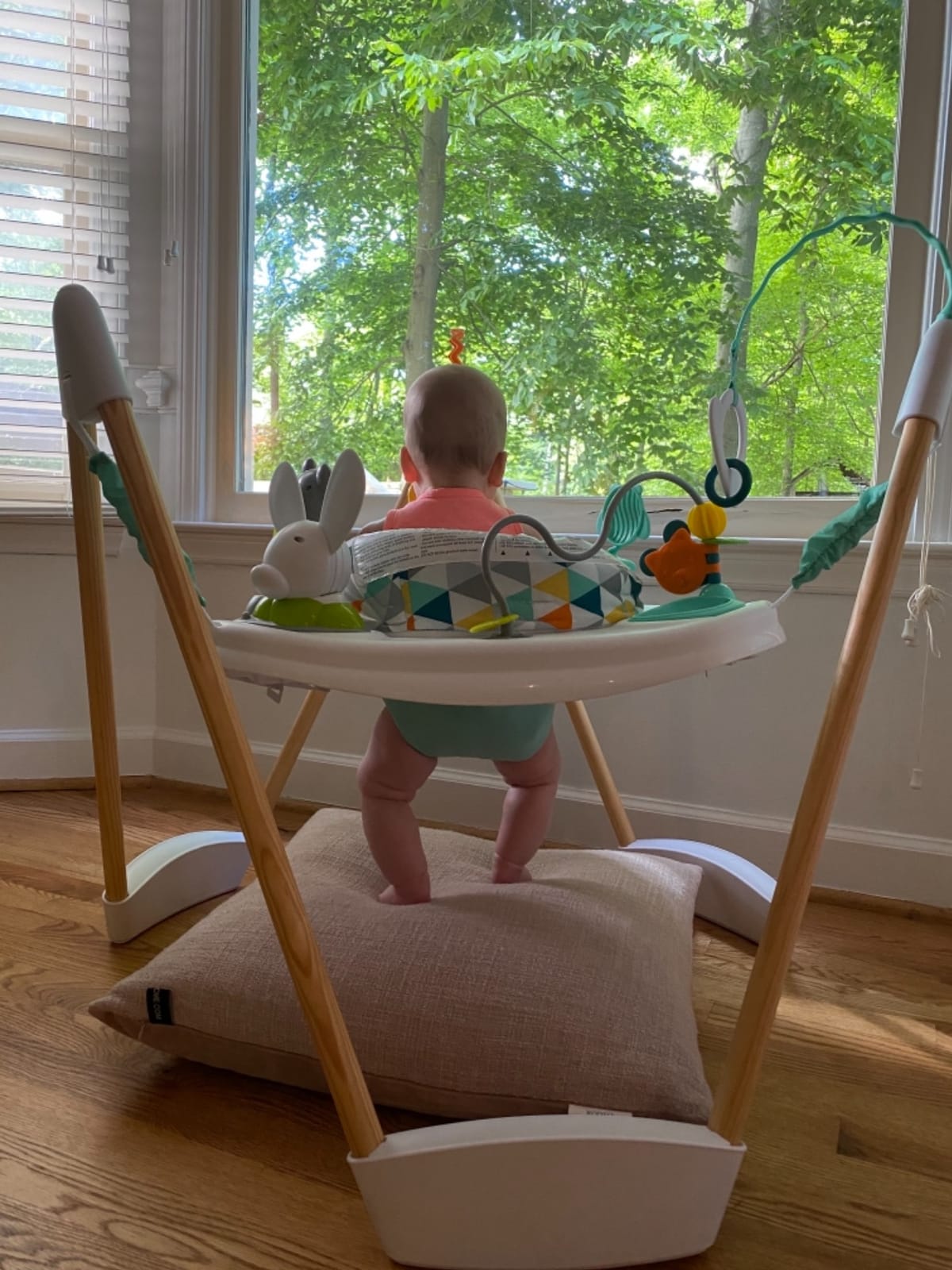 Evenflo Exersaucer Wood Frame Jumper, Woodland Wonder customer photo 1