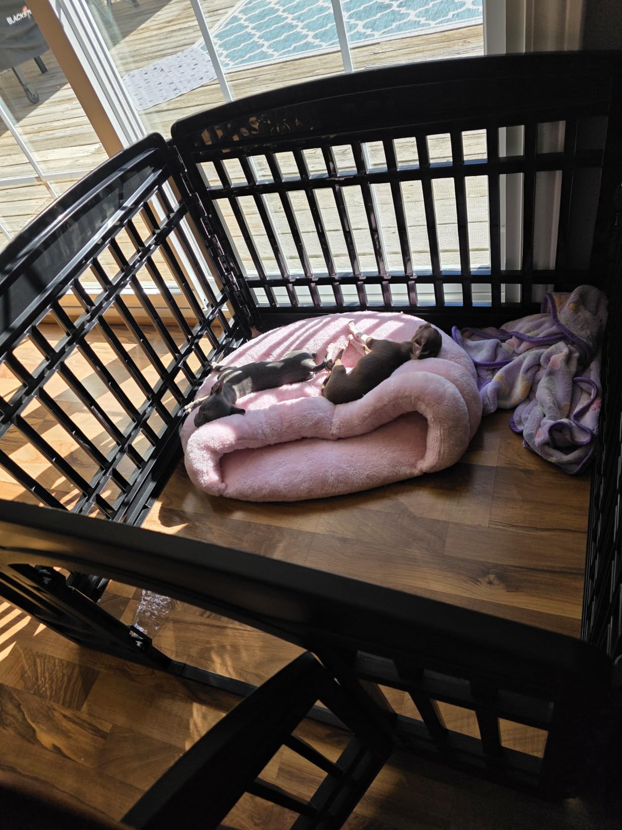 IRIS USA 4-Panel Dog Playpen, Pet Enclosure, White customer photo 2