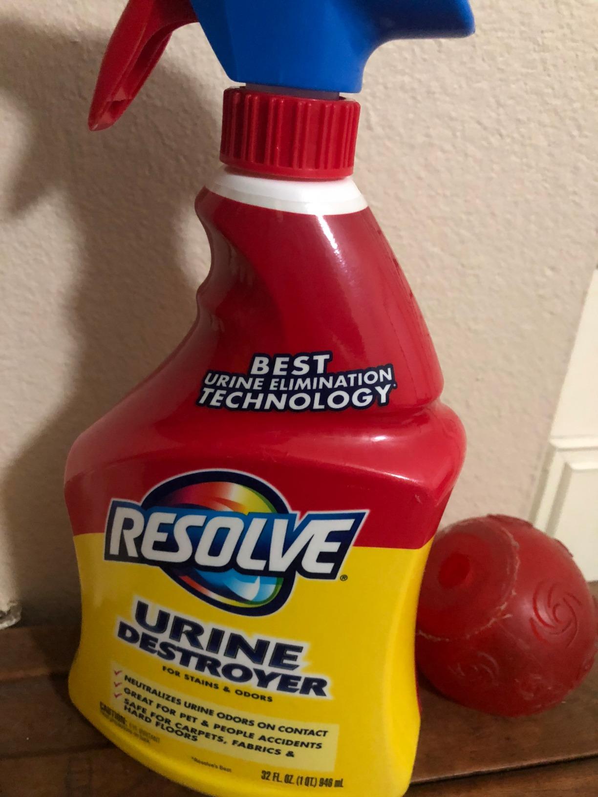 Resolve Urine Destroyer Spray – Pet Stain and Odor Remover, Carpet Cleaner Solution for Cat and Dog Urine, 32 Fl Oz customer photo 1