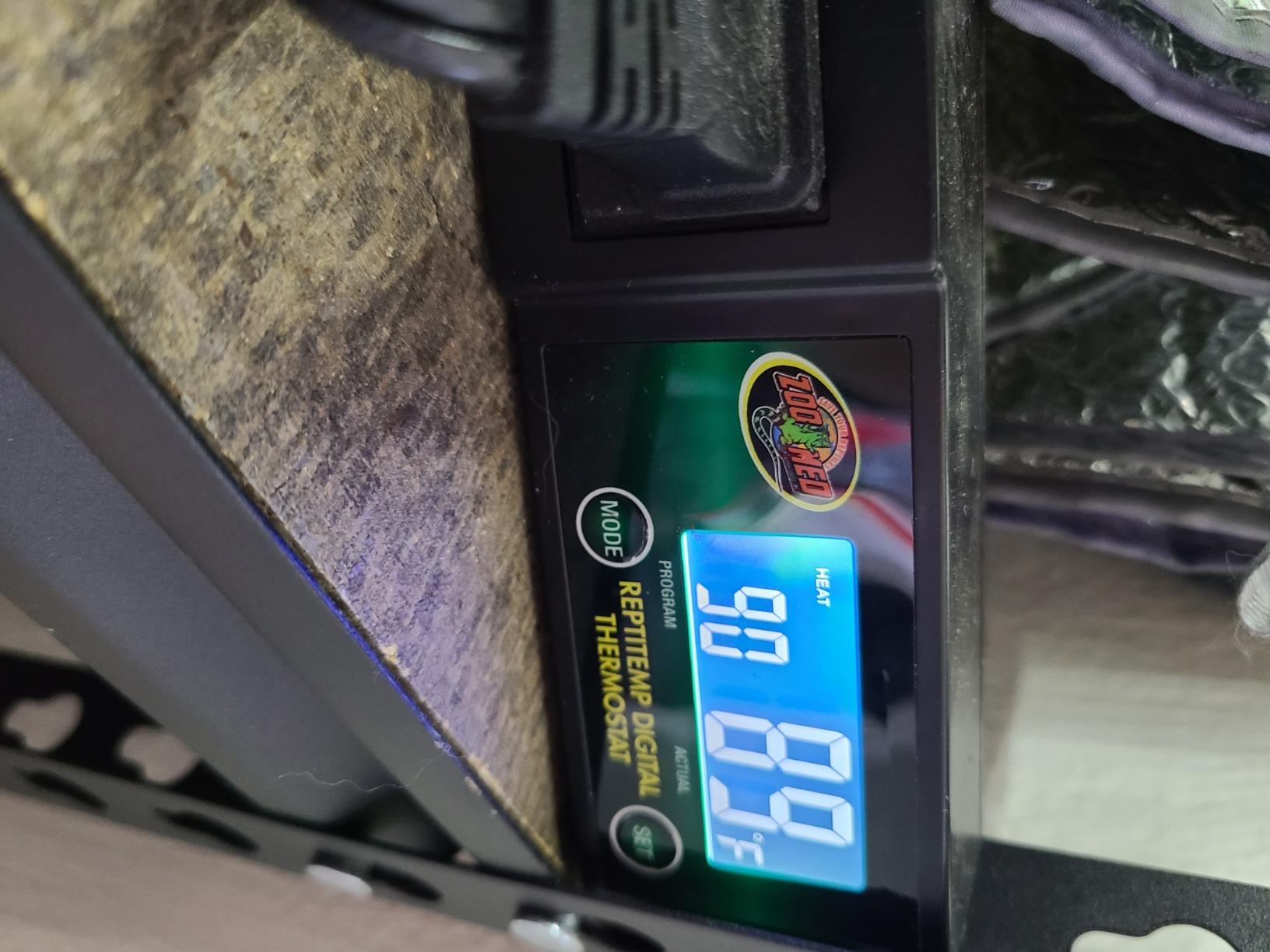Zoo Med ReptiTemp Digital Thermostat customer photo 2