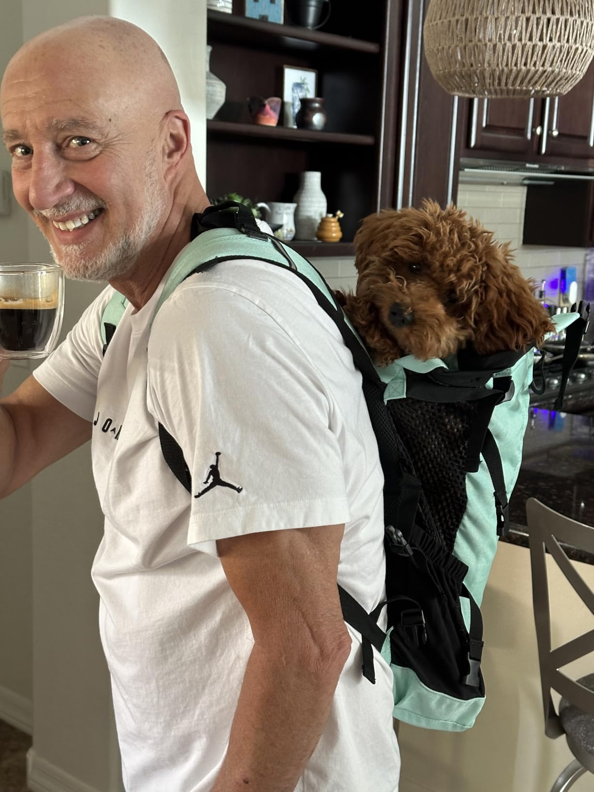K9 Sport Sack Plus 2 - Large, Summer Mint | Ideal for Dogs with 20-22
