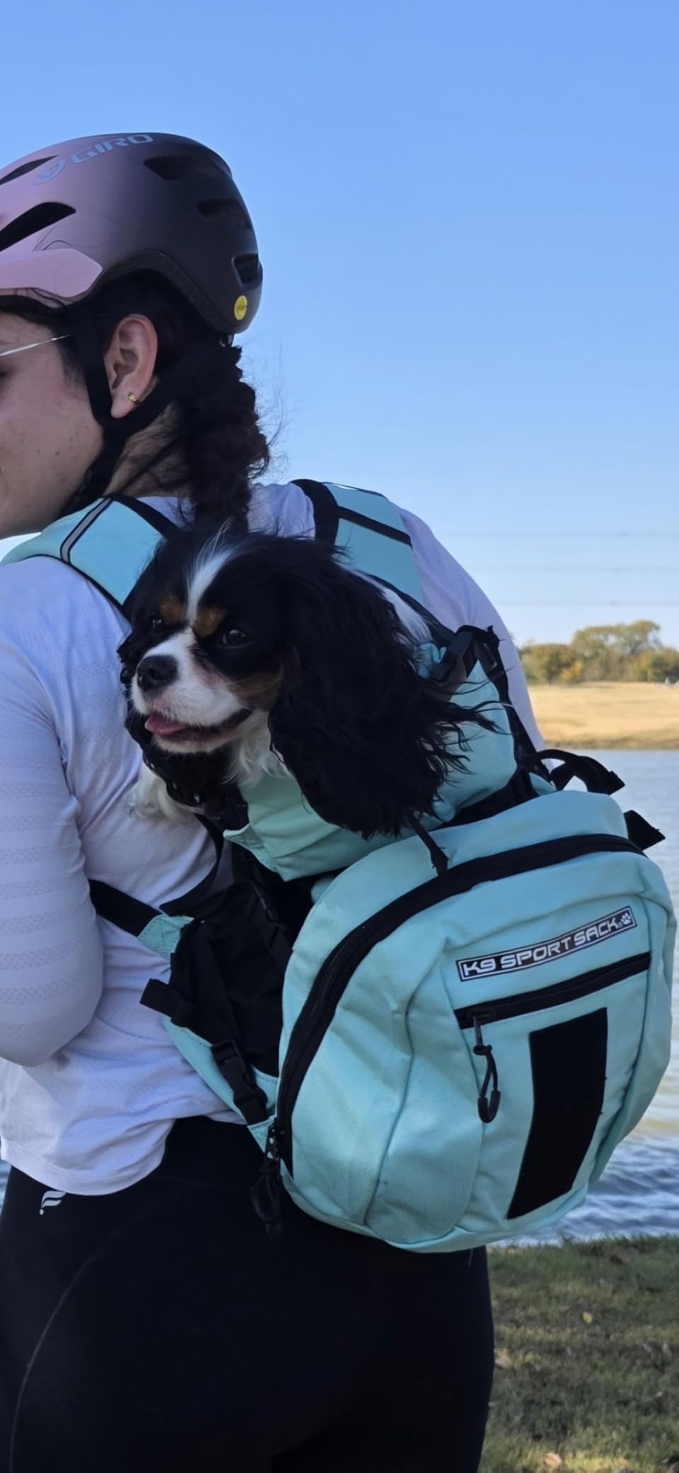 K9 Sport Sack Plus 2 - Large, Summer Mint | Ideal for Dogs with 20-22