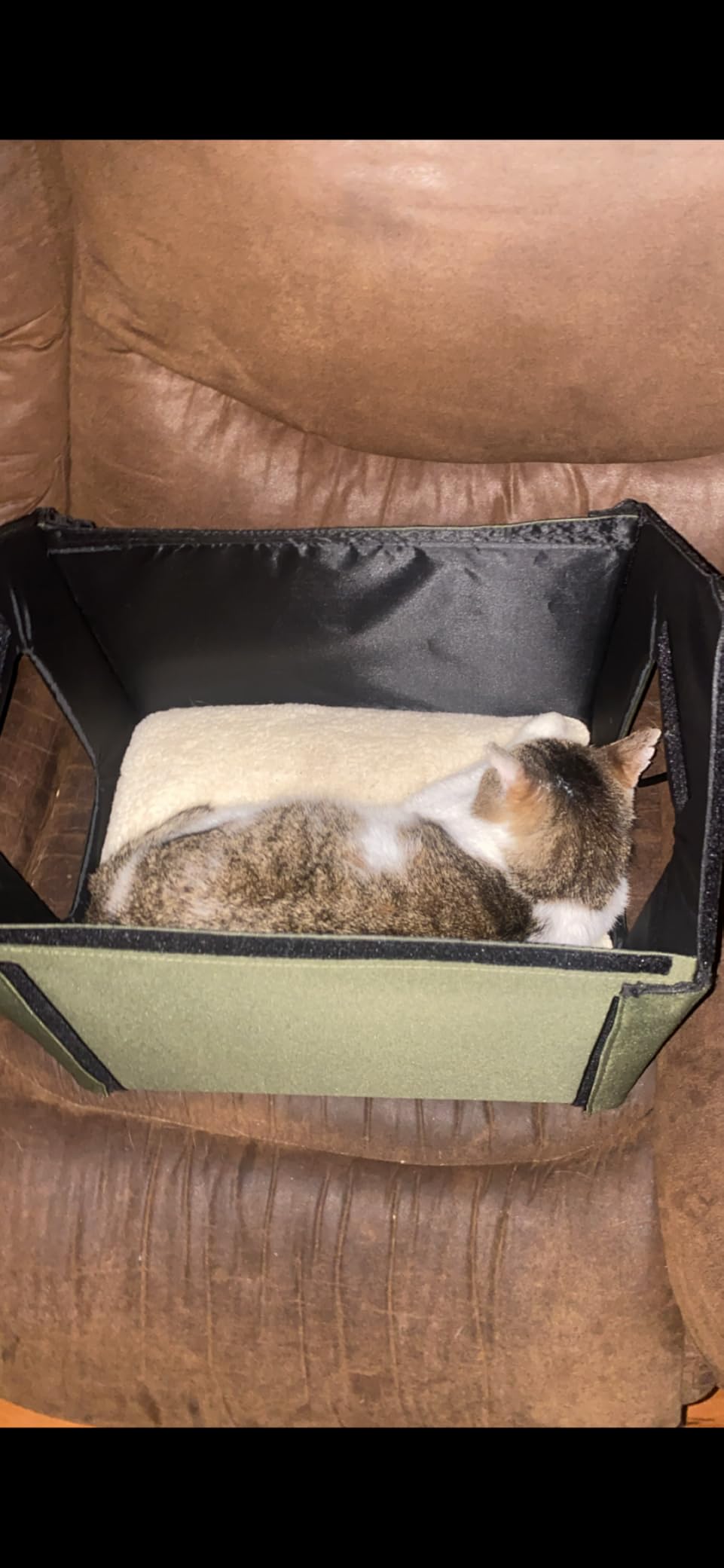 K&H Heated Cat House, Outdoor Kitty Shelter, Safety Listed, 20W, Olive customer photo 1