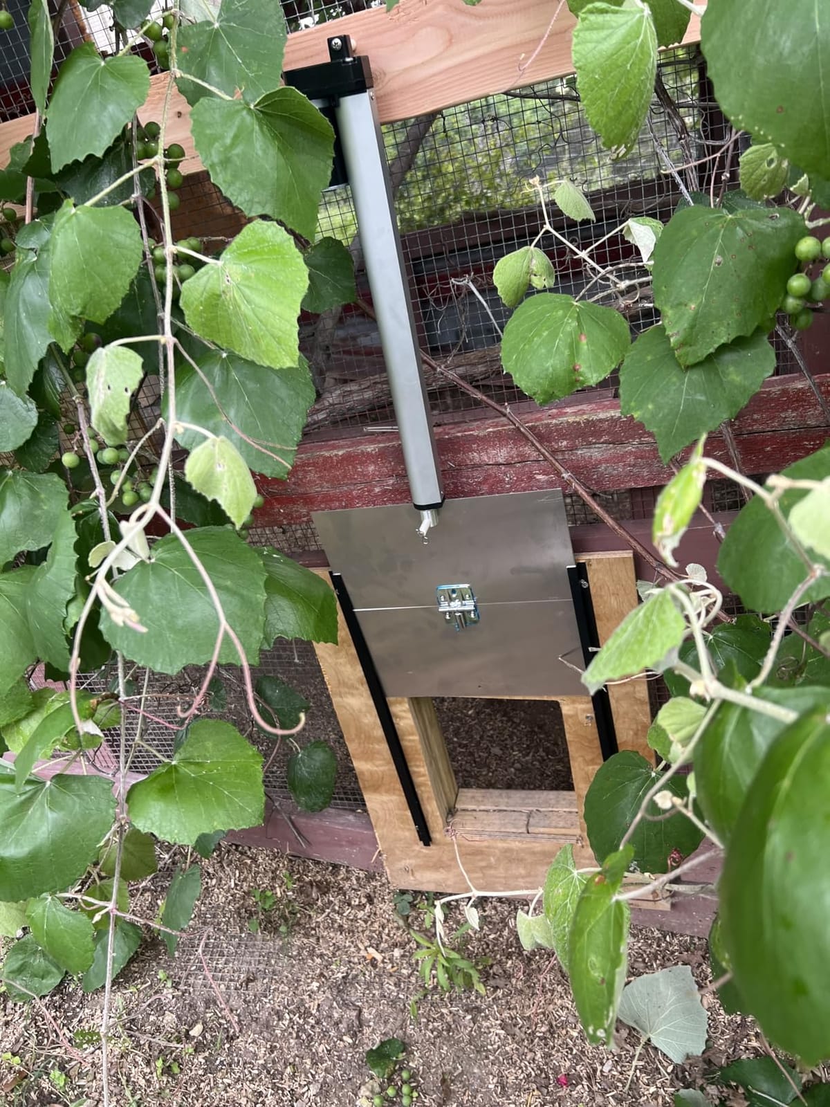 JVR Automatic Chicken Coop Door, Timer, Anti-Pinch, Aluminum Predator Proof customer photo 1