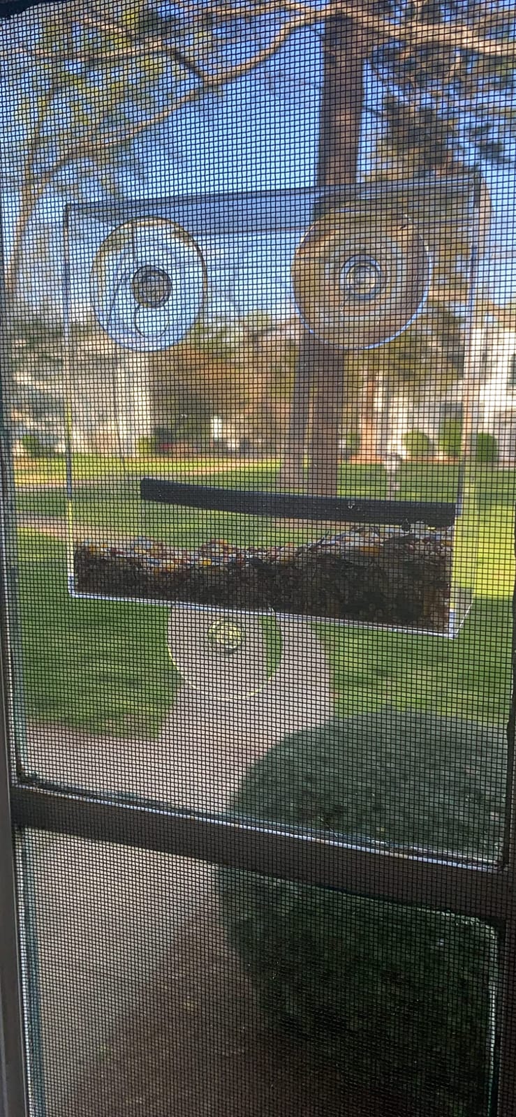 Clear Window Bird Feeder for Outdoors, Bird Houses with Strong Suction Cups | Premium bird feeder for window, cardinal bird feeder, drain holes & large seed capacity customer photo 2