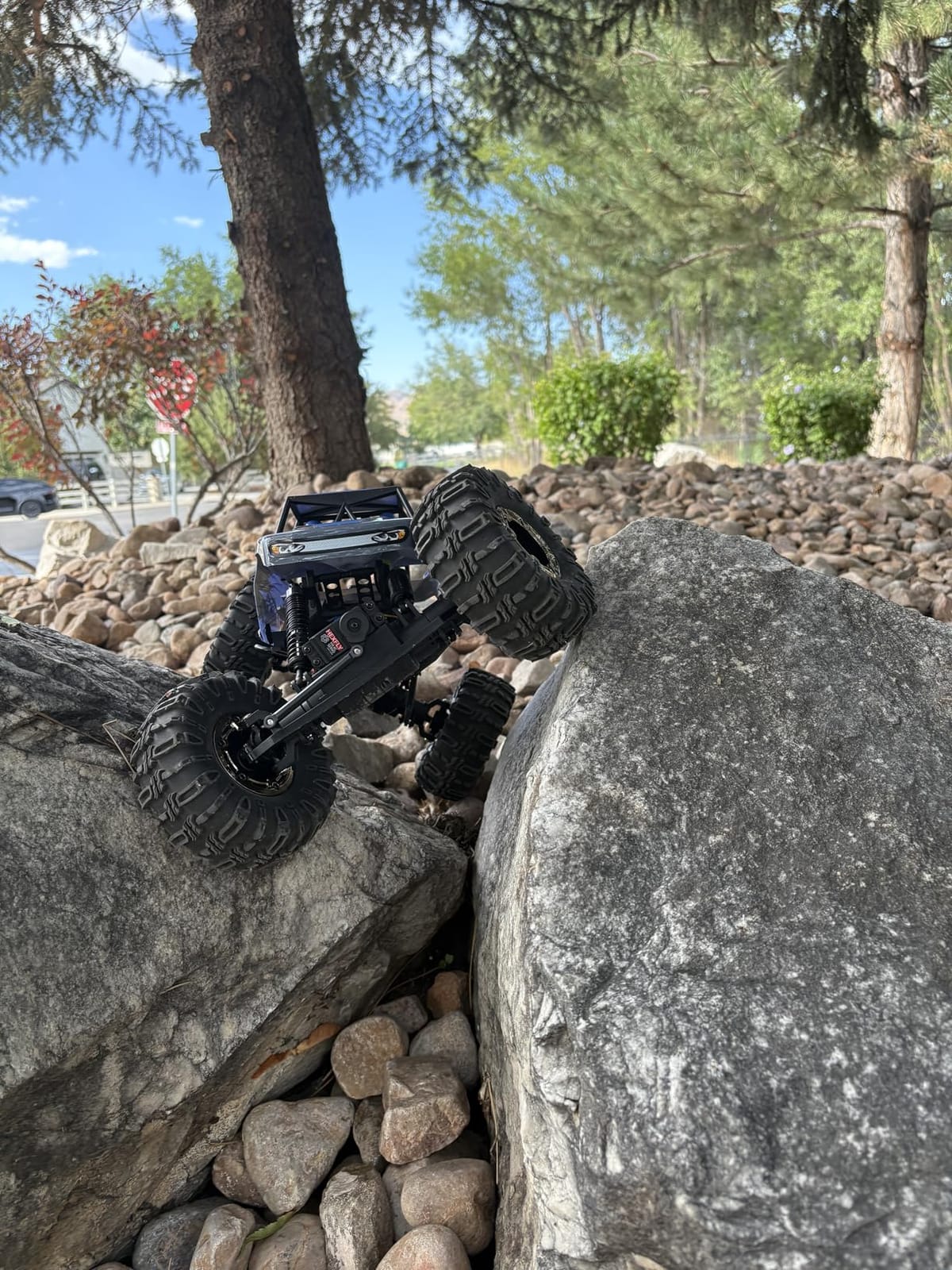 Redcat Racing Danchee Ridgerock 1/10 Scale 4WD Electric RC Rock Crawler with 2.4GHz Radio, Dual Motors, 4-Wheel Steering customer photo 1