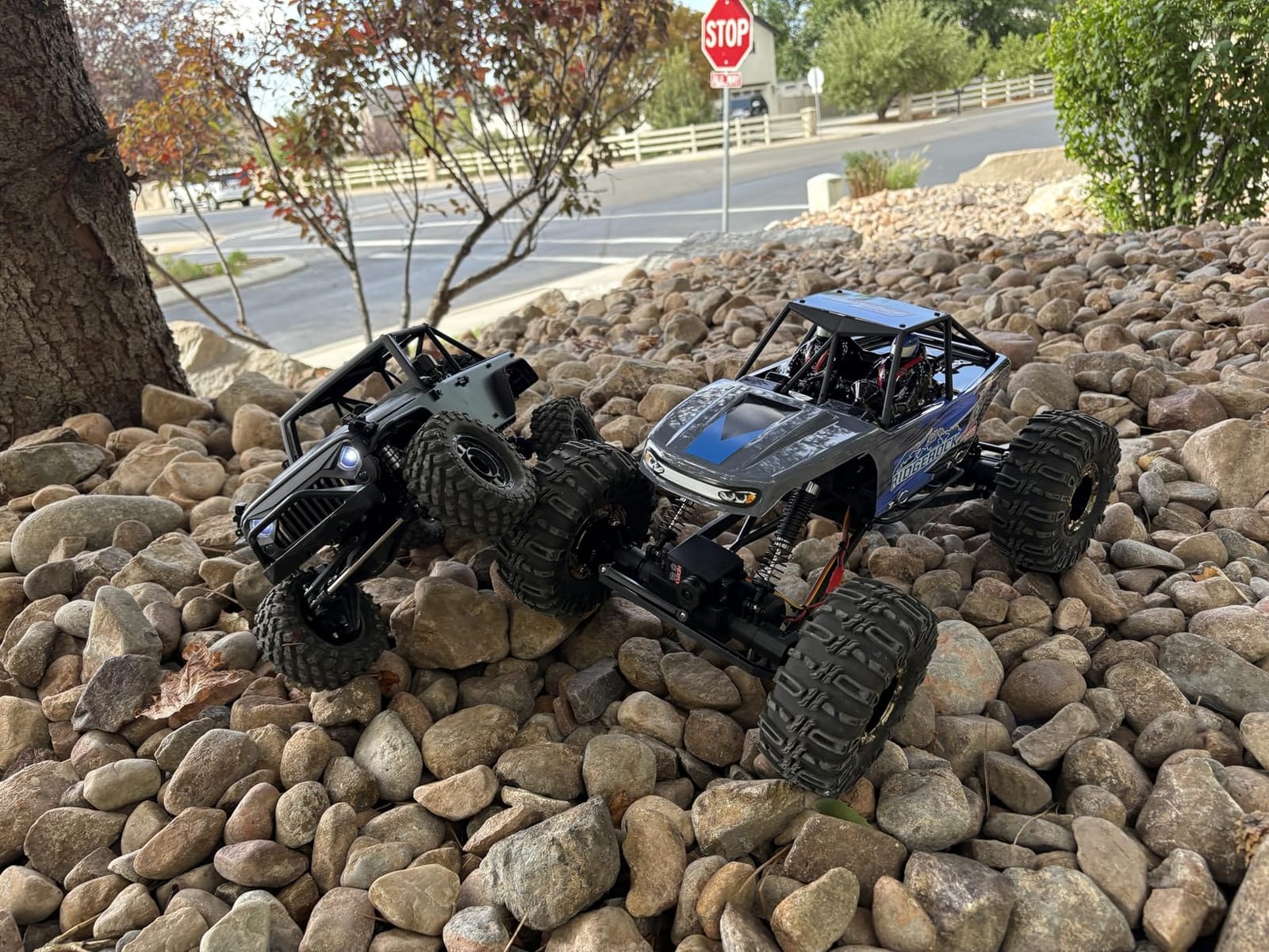 Redcat Racing Danchee Ridgerock 1/10 Scale 4WD Electric RC Rock Crawler with 2.4GHz Radio, Dual Motors, 4-Wheel Steering customer photo 2