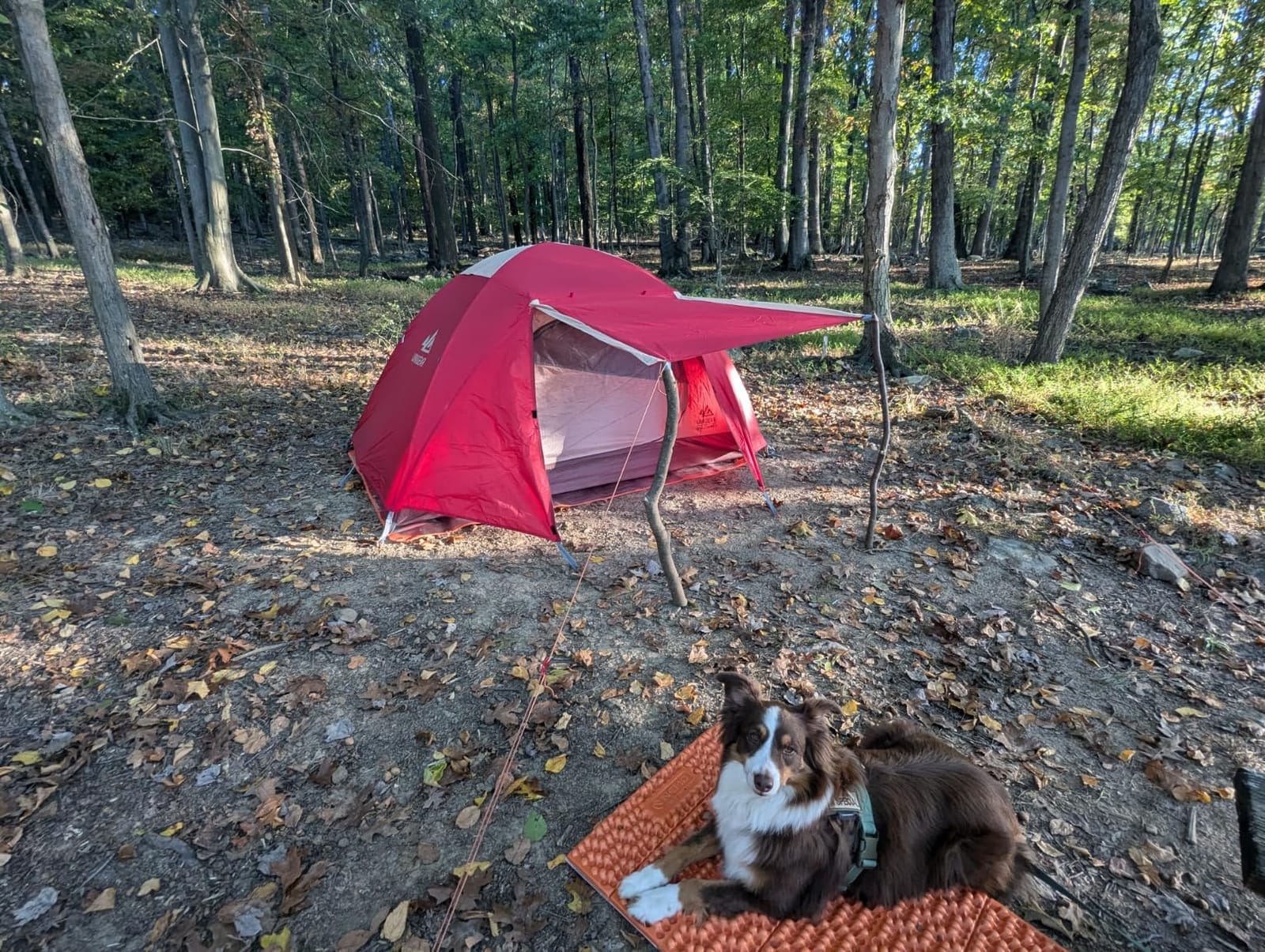 NEMO Equipment Switchback Foam Sleeping Pad customer photo 2