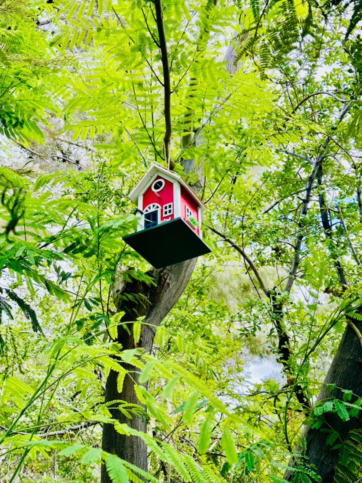 MEWANG Rustic Wooden Bird House for Outside - Hanging Colorful Bird Feeder Cottage, Unique Garden Decor Gift for Hummingbirds, Bluebirds & Wild Birds customer photo 1