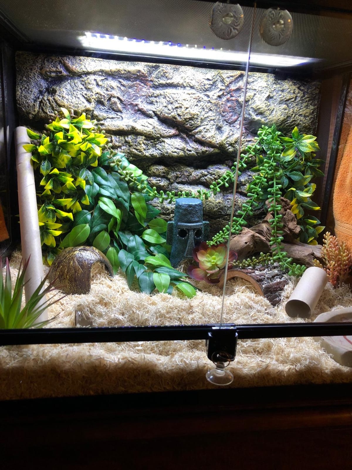 REPTI ZOO 34 Gallon Large Reptile Glass Terrarium Tank with Foam Backgrounds,Double Hinge Door with Screen Ventilation Reptile Terrarium 24