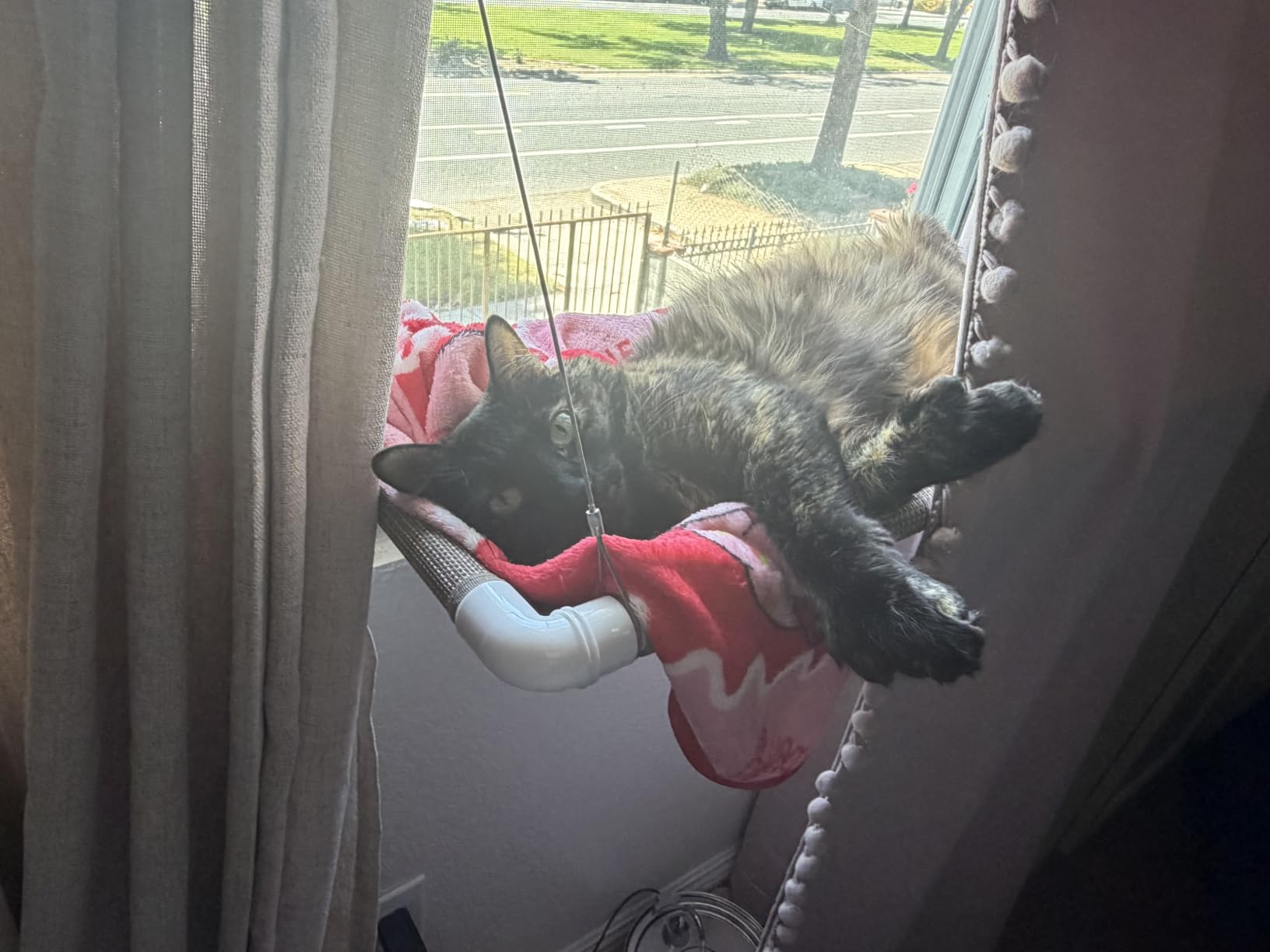 PEFUNY Cat Window Hammock - Mess-Free Waterproof Cats Window Perch for Large Cats, Strong Suction Cup Hammock with Flannel Cover, Indoor Cat Seat, Beige customer photo 2