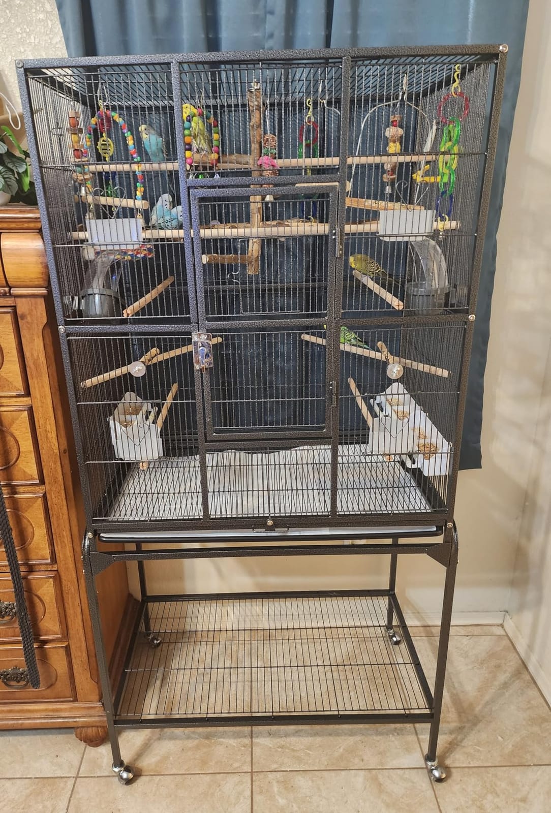 Yaheetech 63-Inch Wrought Iron Rolling Large Bird Cage for African Grey Small Quaker Amazon Parrots Canary Bird Flight Cage customer photo 1