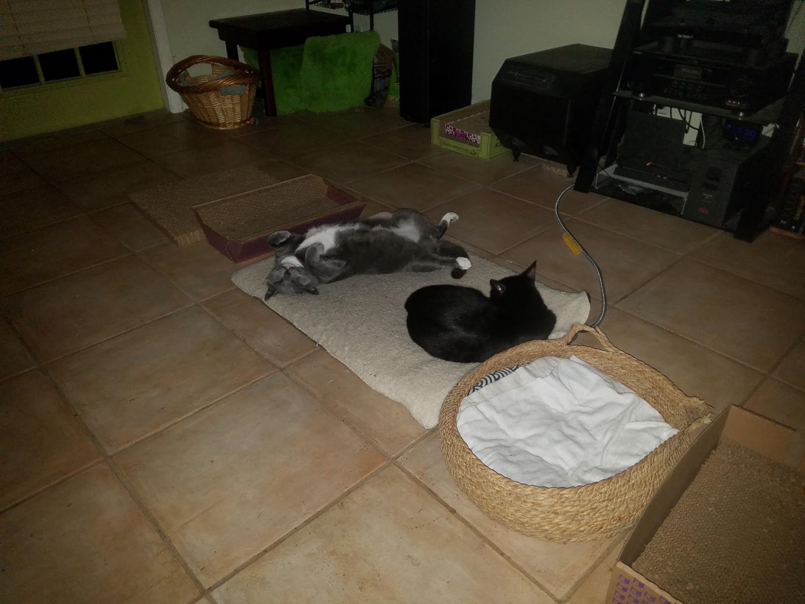 K&H Heating Pad, Lectro-Soft Outdoor Pet Bed, Safety Listed, 36x25in 60W customer photo 1