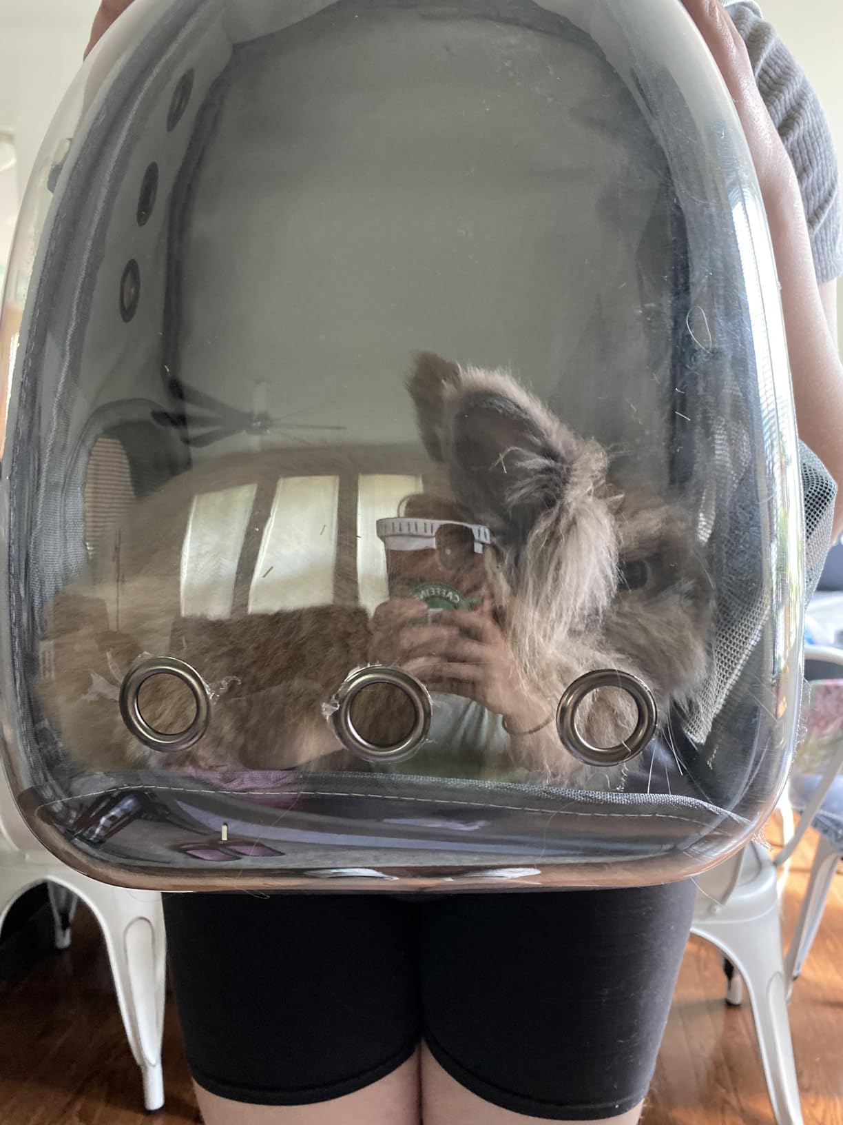 Cat Backpack Carrier Breathable Pet Travel Bag for Cats Dogs Bunny customer photo 1