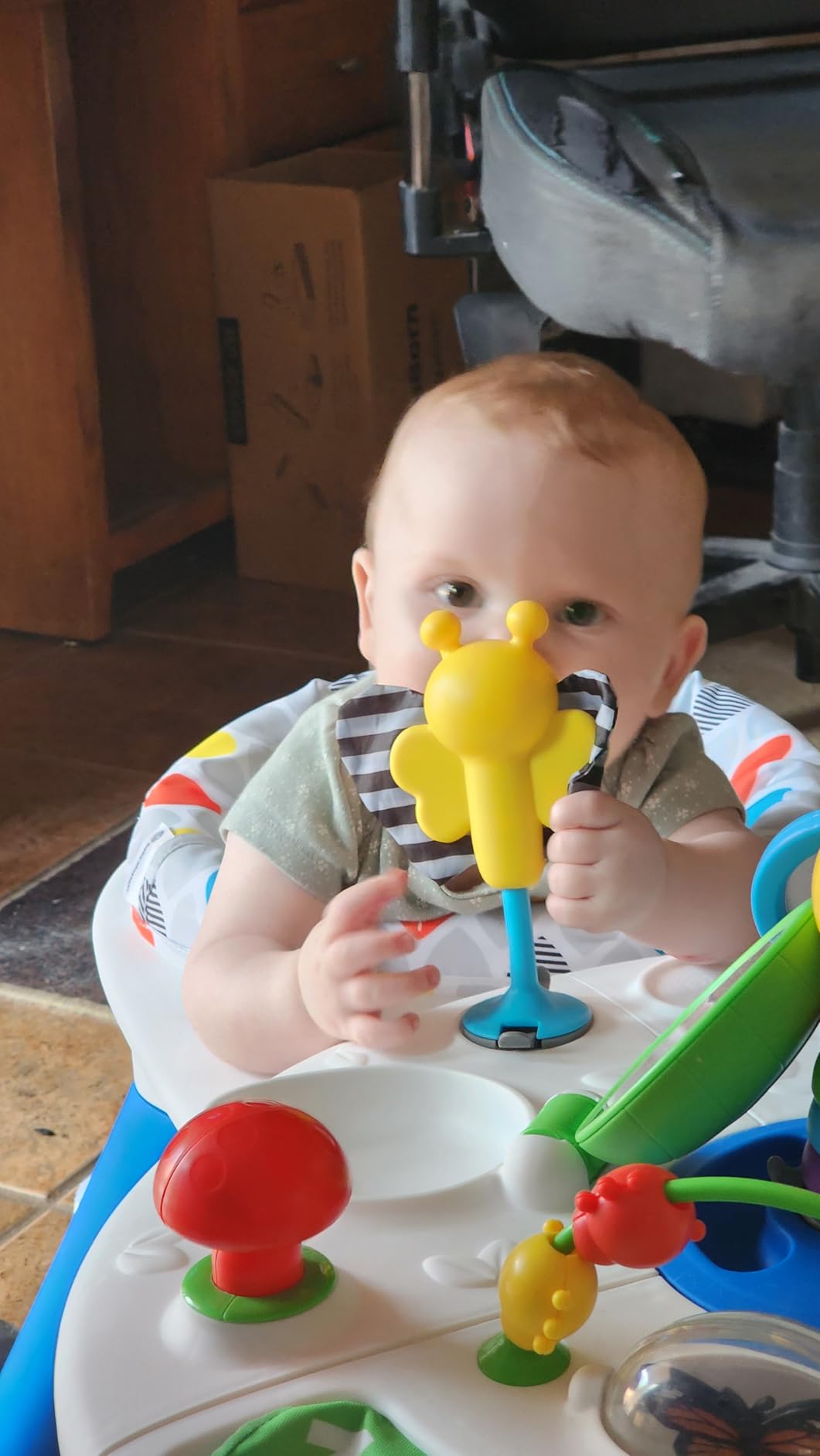Baby Einstein 4-in-1 Activity Center & Walker with Piano, Age 6M+ | 4 ways to grow: walker, discovery table, art table & floor play-entertains babies 6-36 months with 15+ activities customer photo 1
