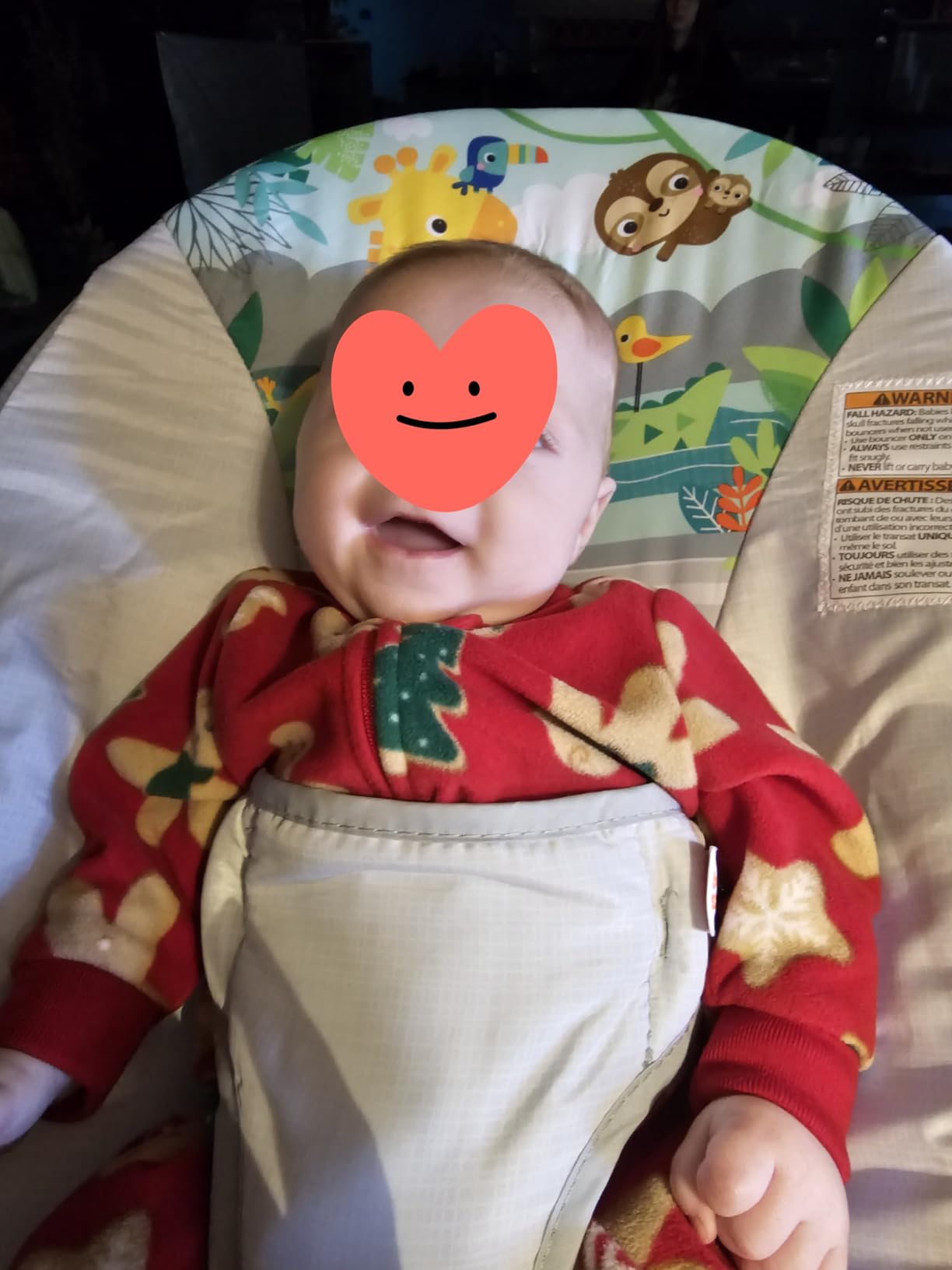 Bright Starts Baby Bouncer Soothing Vibrations Infant Seat - Removable -Toy Bar, Nonslip Feet, 0-6 Months Up to 20 lbs (Safari Fun) customer photo 2