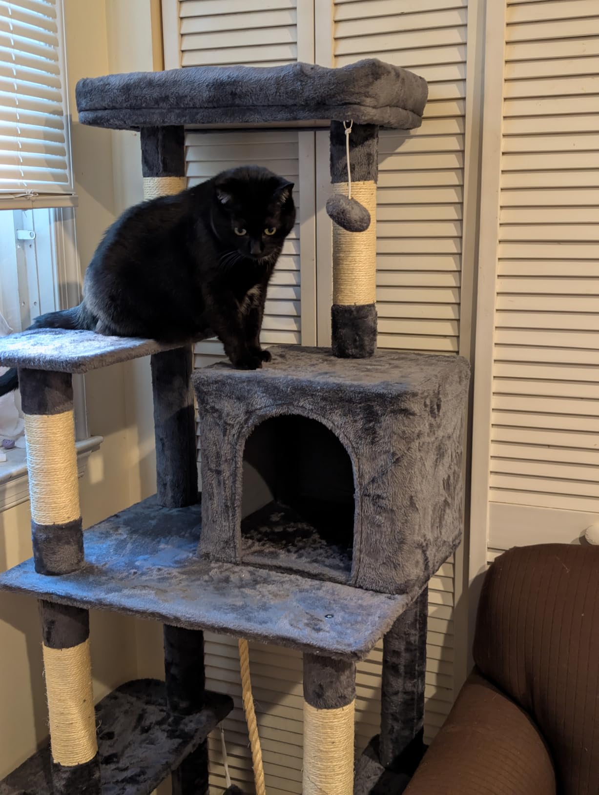 Yaheetech 63in Sturdy Large Cat Tree for Indoor Heavy Cats, Tall Tower | Plush condo, hammock, sisal scratching posts, multi-pet friendly, easy to assemble, stable wide base customer photo 1