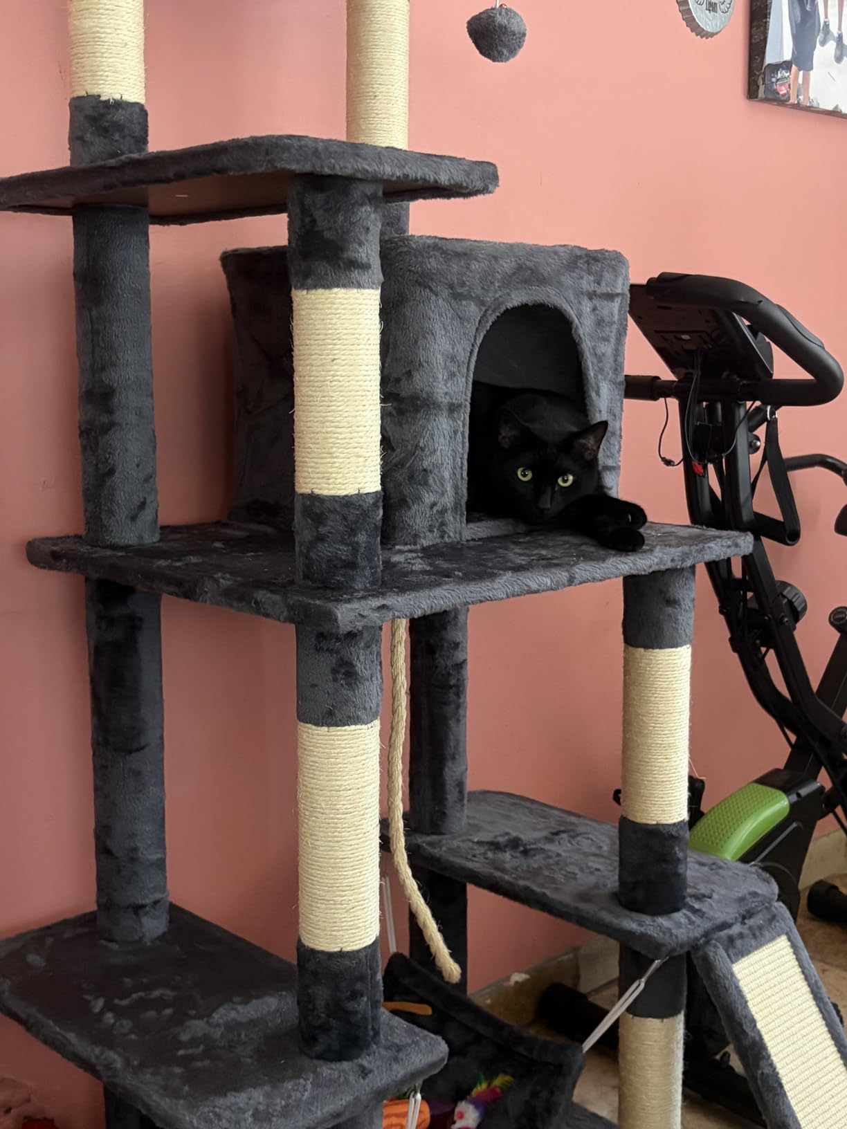 Yaheetech 63in Sturdy Large Cat Tree for Indoor Heavy Cats, Tall Tower | Plush condo, hammock, sisal scratching posts, multi-pet friendly, easy to assemble, stable wide base customer photo 2