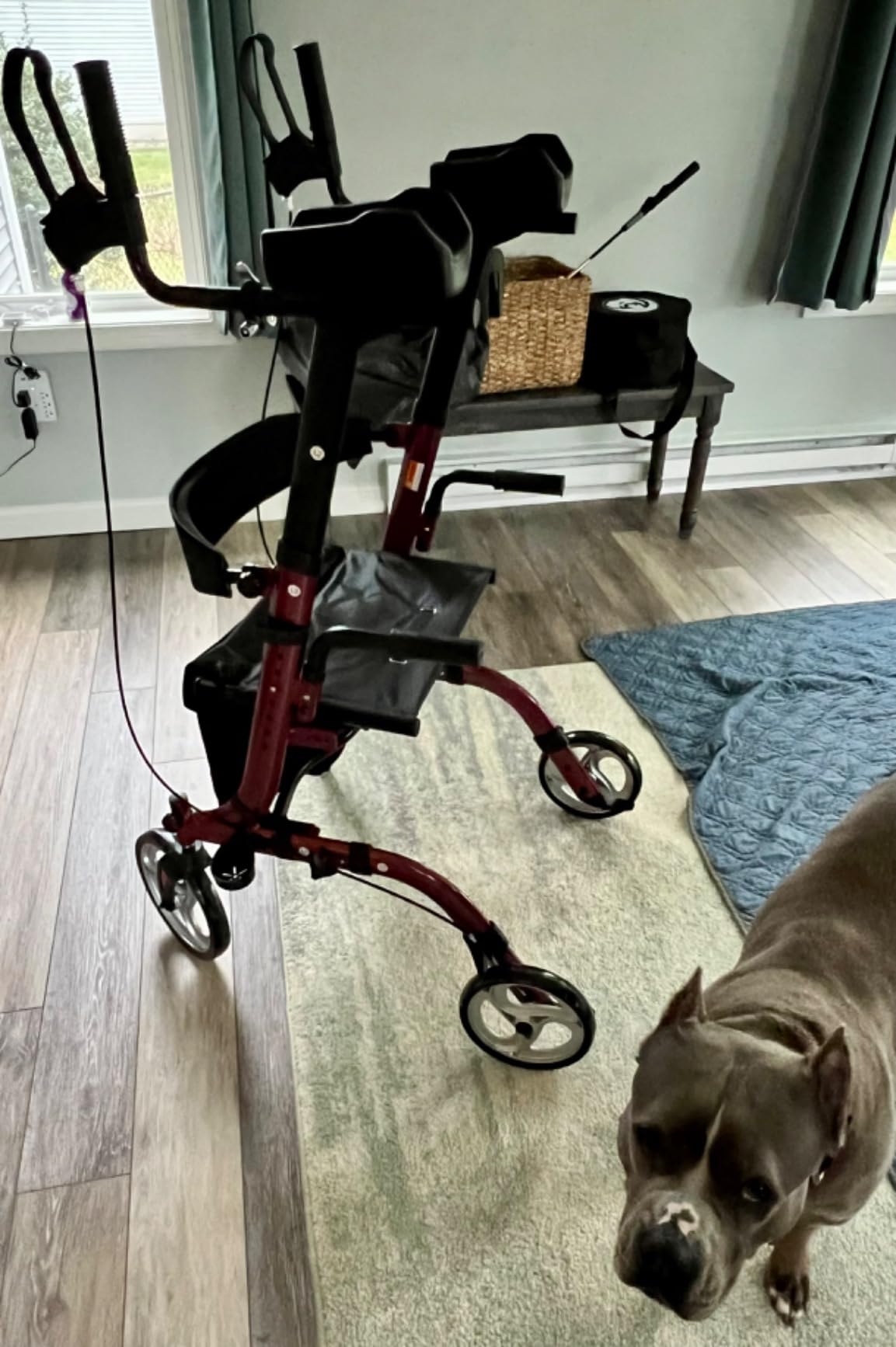 ELENKER Upright Walker, Stand Up Folding Rollator Walker Back Erect Rolling Mobility Walking Aid with Seat, Padded Armrests for Seniors and Adults, White customer photo 2