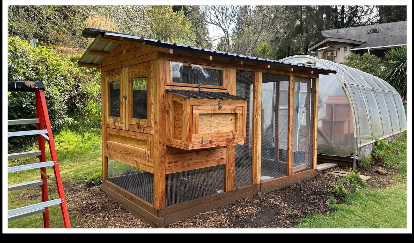 RUN-CHICKEN Door T50 – Automatic Chicken Coop Door Opener, Battery Powered & Weatherproof Aluminum, Smart App & Timer Control, Predator Proof, Easy Install, Reliable All-Season Performance (Brown) customer photo 1