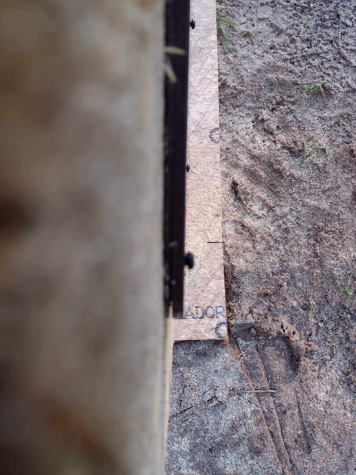 RUN-CHICKEN Door T50 – Automatic Chicken Coop Door Opener, Battery Powered & Weatherproof Aluminum, Smart App & Timer Control, Predator Proof, Easy Install, Reliable All-Season Performance (Brown) customer photo 2