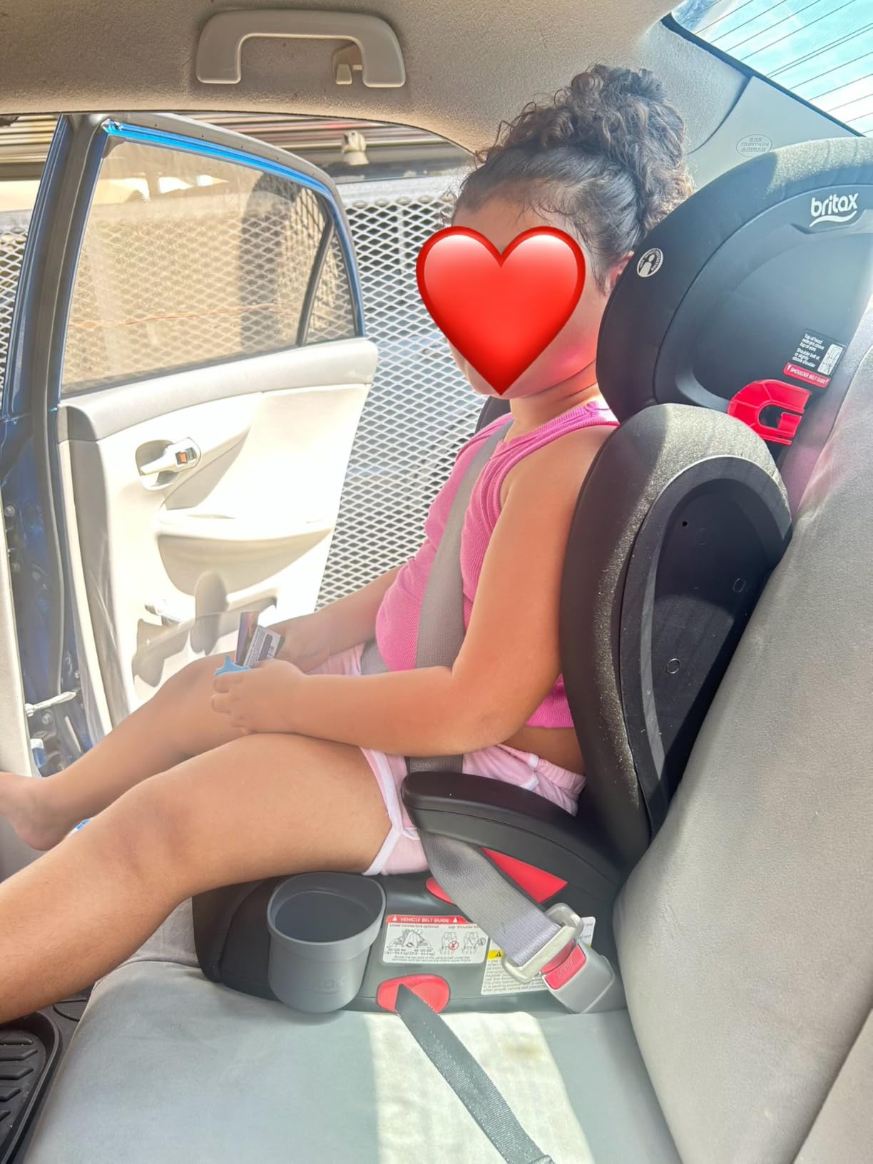 Britax Skyline 2-Stage Belt-Positioning Booster Car Seat, Dusk customer photo 1
