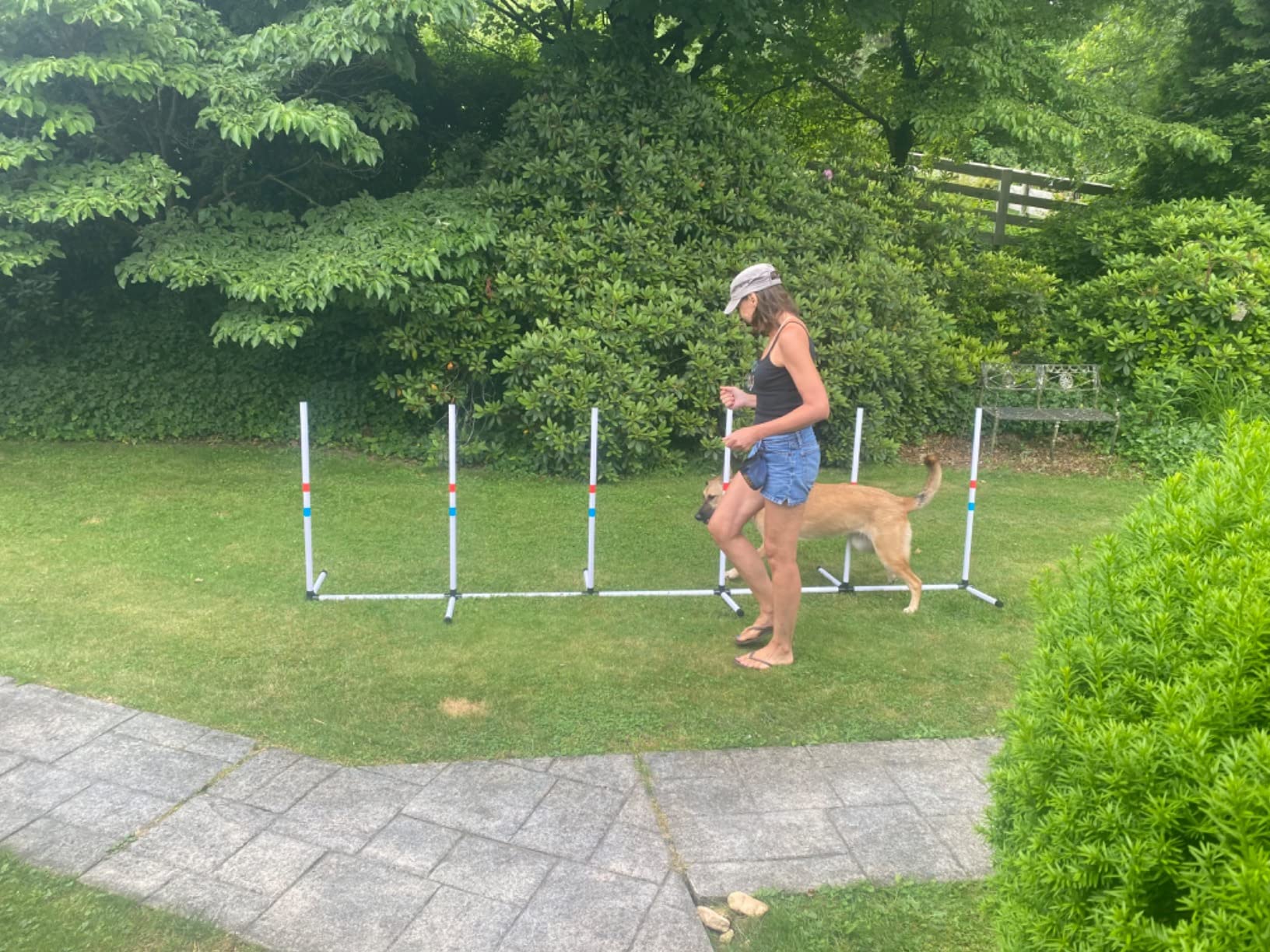Midlee Dog Agility Beginner Set- Hoop Jump, Weave Poles, and Bar Jump customer photo 1