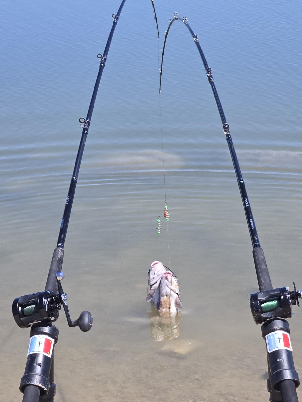 Piscifun Chaos XS Round Baitcasting Reel, Saltwater Conventional Reel | Aluminum body, 5.3:1 ratio, 6+1 bearings, 18-22LB drag, 40/50/60 sizes customer photo 1