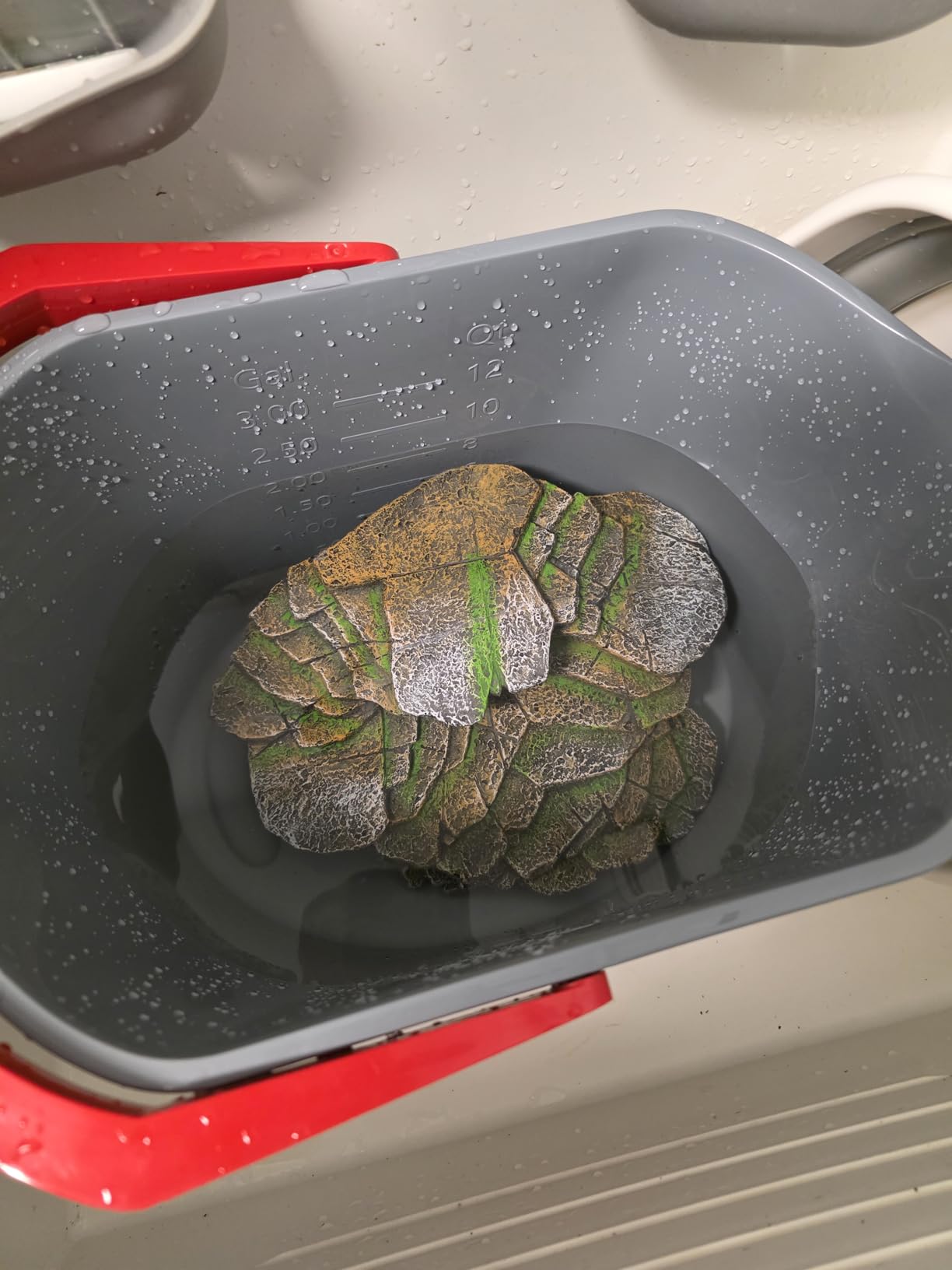 PENN-PLAX (REP183) Reptology Shale Scape Step Ledge & Cave Hideout – Decorative Resin for Aquariums & Terrariums – Great for Reptiles, Amphibians, and Fish – Large customer photo 2