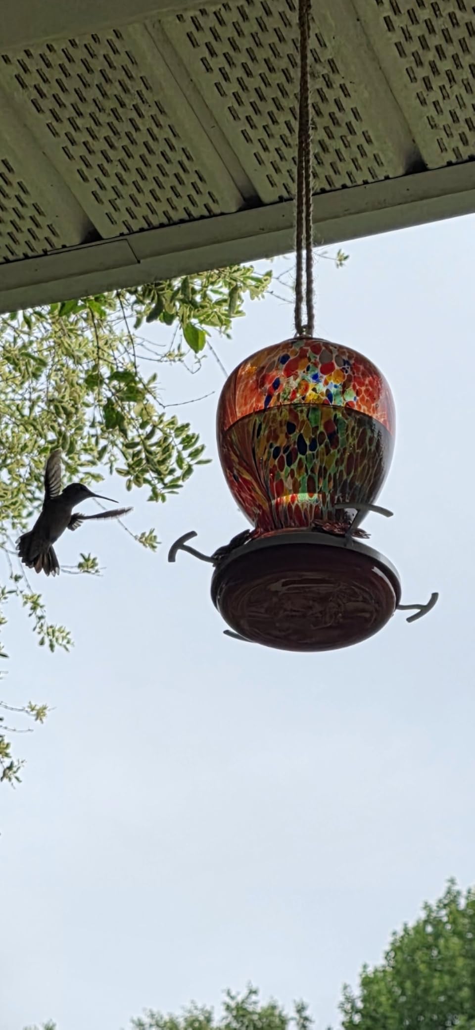 WOSIBO Hummingbird Feeder for Outdoors Patio Large 32 Ounces Colorful Hand Blown Glass Hummingbird Feeder with Ant Moat Hanging Hook, Rope, Brush and Service Card (RED-Firework) customer photo 1