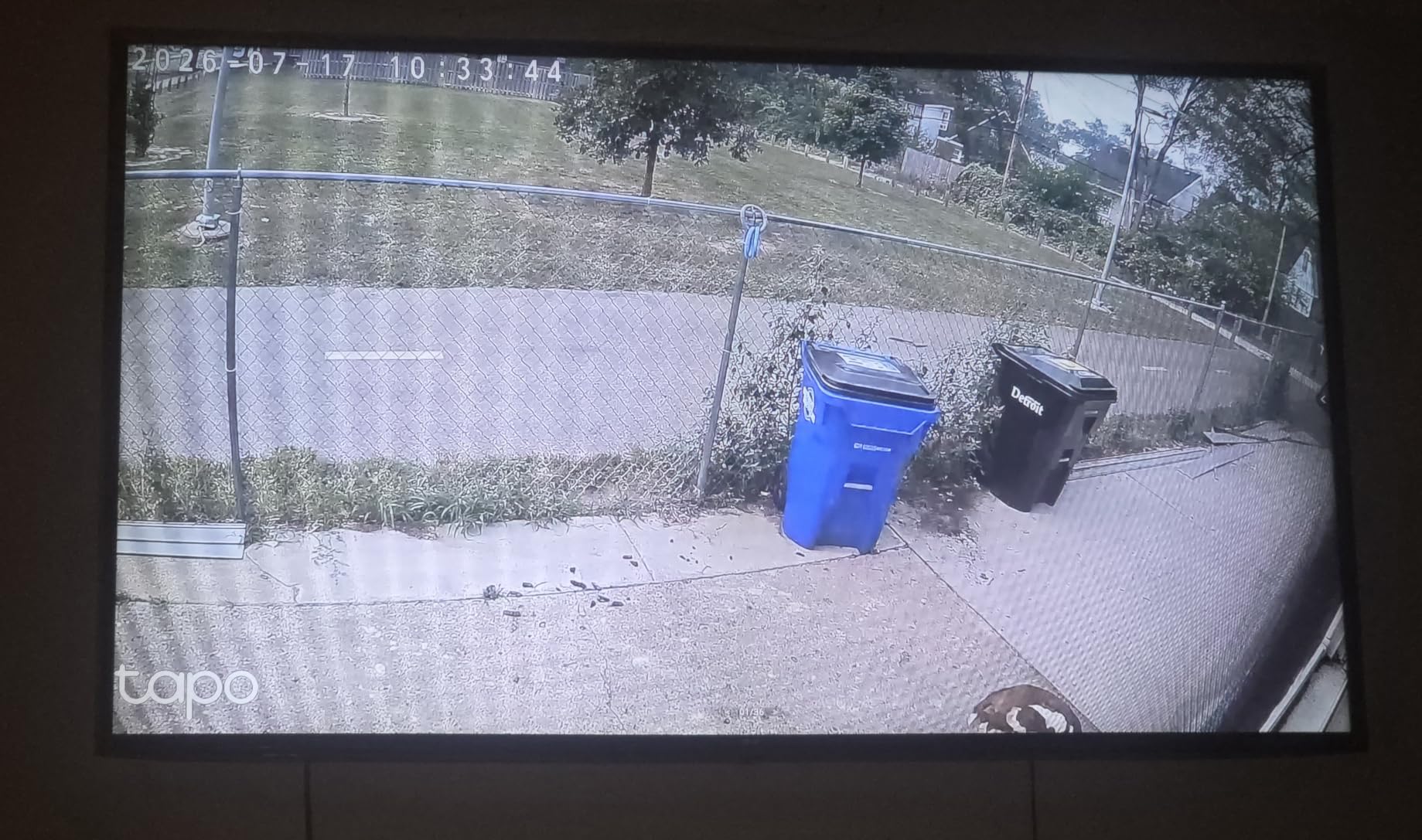 Tapo 1080P Indoor Security Camera, Baby Monitor, Dog Camera, Wired, C100 customer photo 1