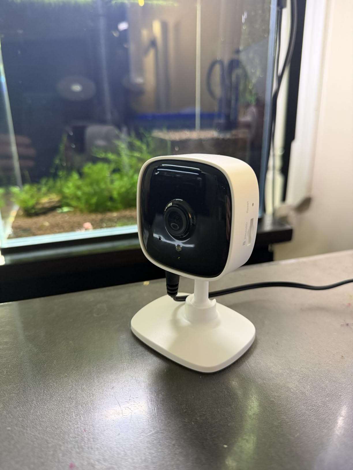 Tapo 1080P Indoor Security Camera, Baby Monitor, Dog Camera, Wired, C100 customer photo 2