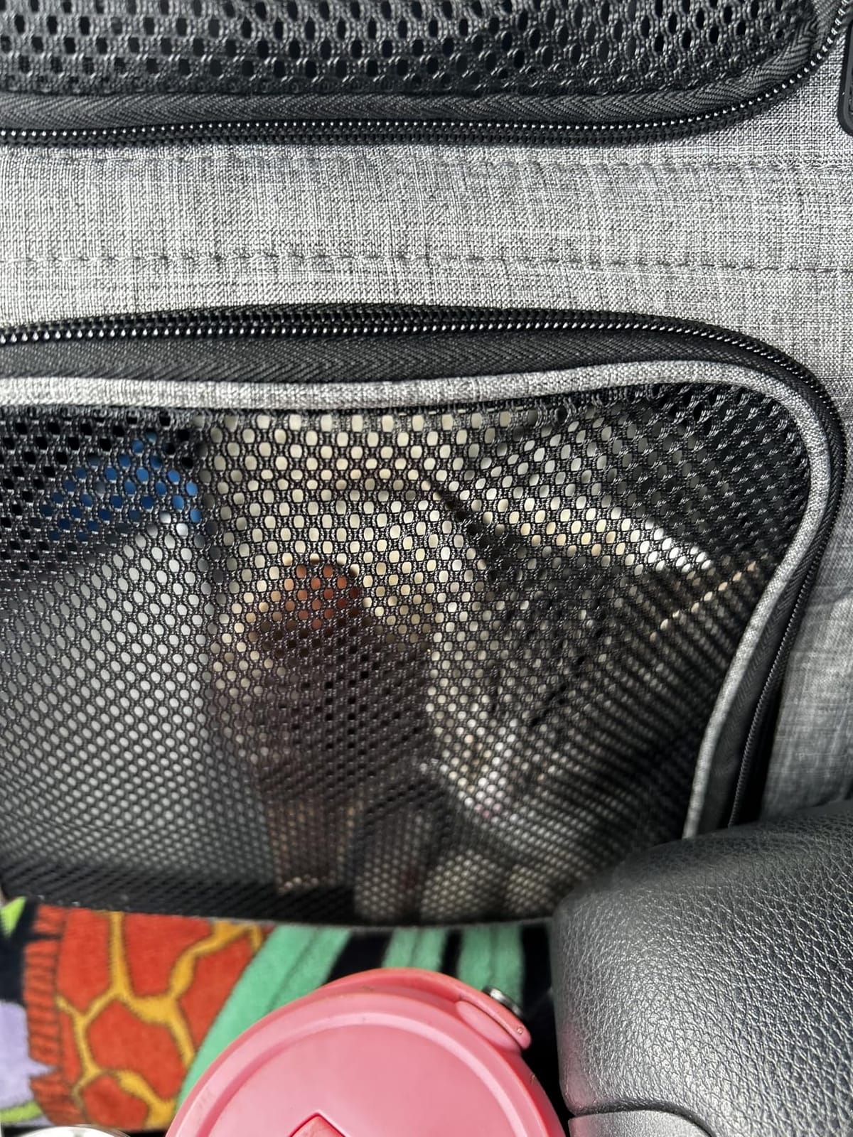 pecute Cat Backpack Expandable, Cat Carrier Backpack with Breathable Window customer photo 1