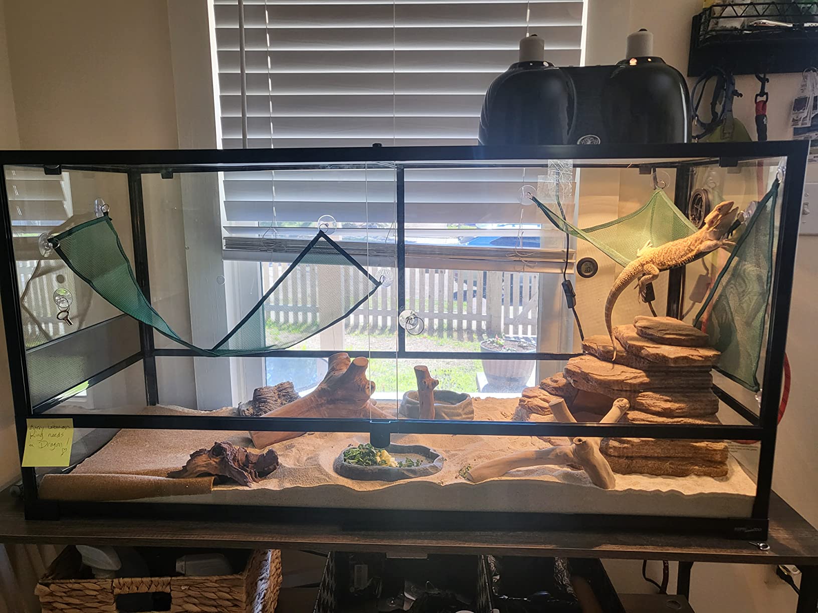 REPTI ZOO 85 Gallon Large Reptile Tank, Wide & Tall Tempered Glass Large Reptile Terrarium 47.2 x 17.7 x 23.6 inch for Tortoise Snake, Top Screen Ventilation & Anti Escape Lid customer photo 1