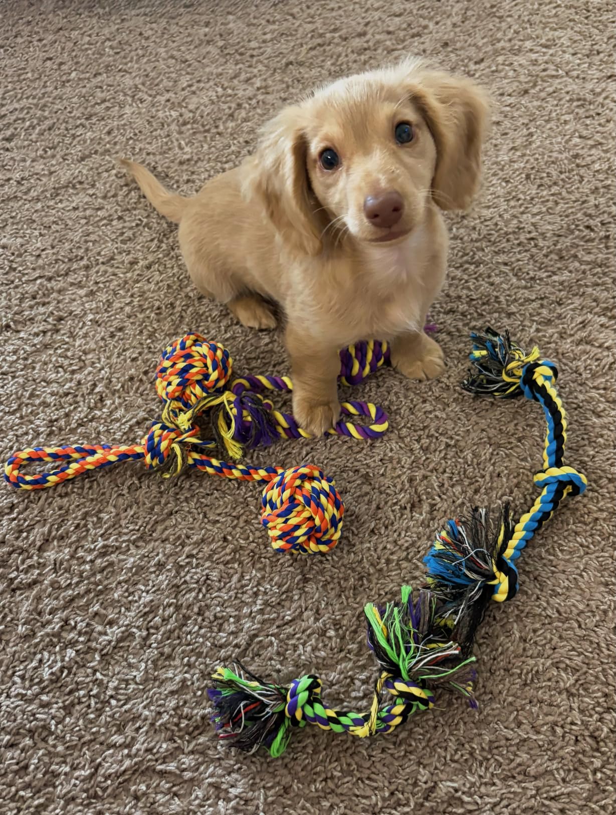 SHARLOVY Large Tough Chew Toys for Aggressive Chewers, 9 Pack Dog Rope Toys customer photo 2