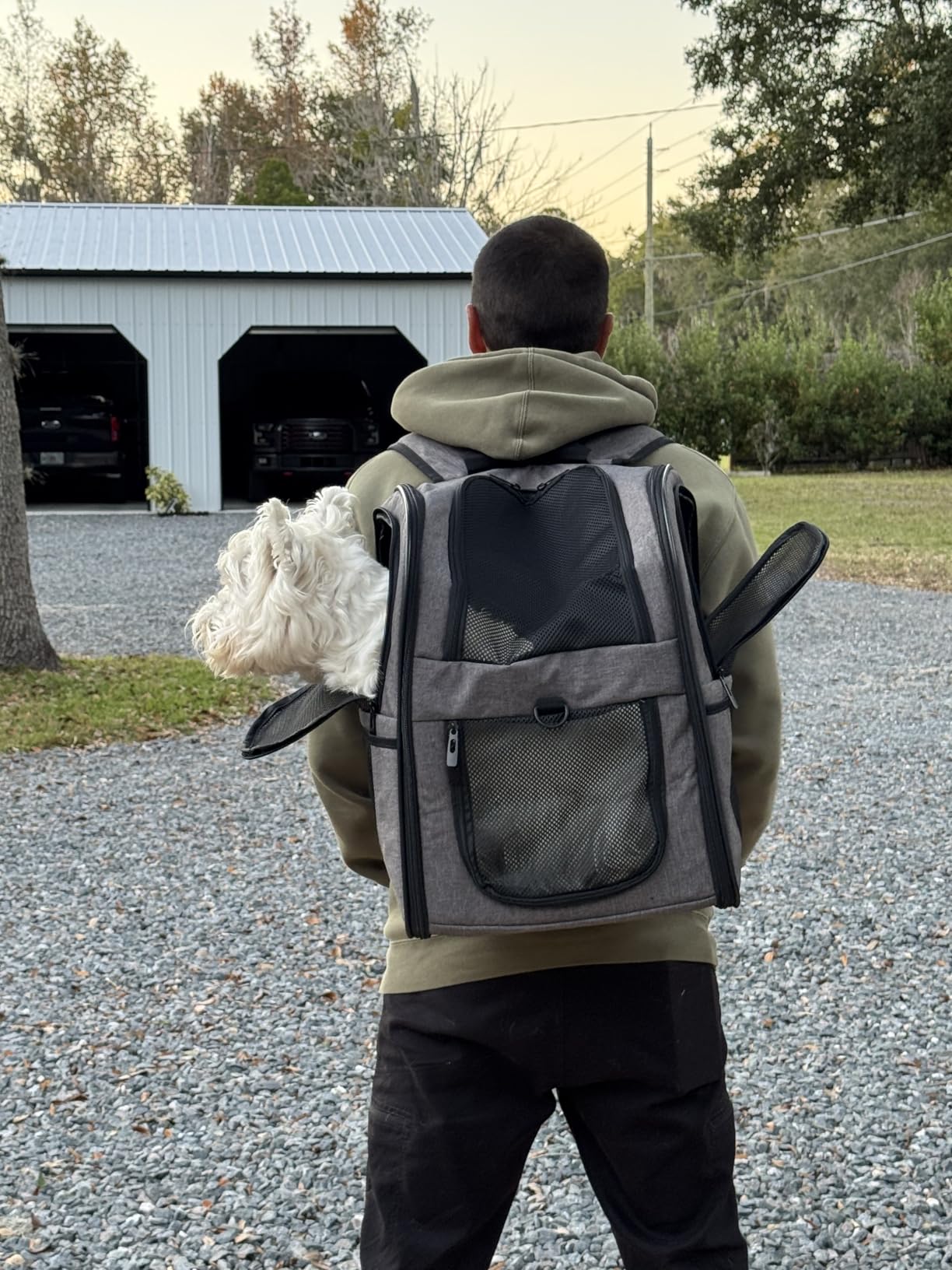 Apollo Walker Cat Carrier Backpack for Small Dogs and Cats Up to 18 lb, Side Pockets, Four-Sided Breathable Mesh, Stability Package, Removable Pad, 3D Back Panel customer photo 2