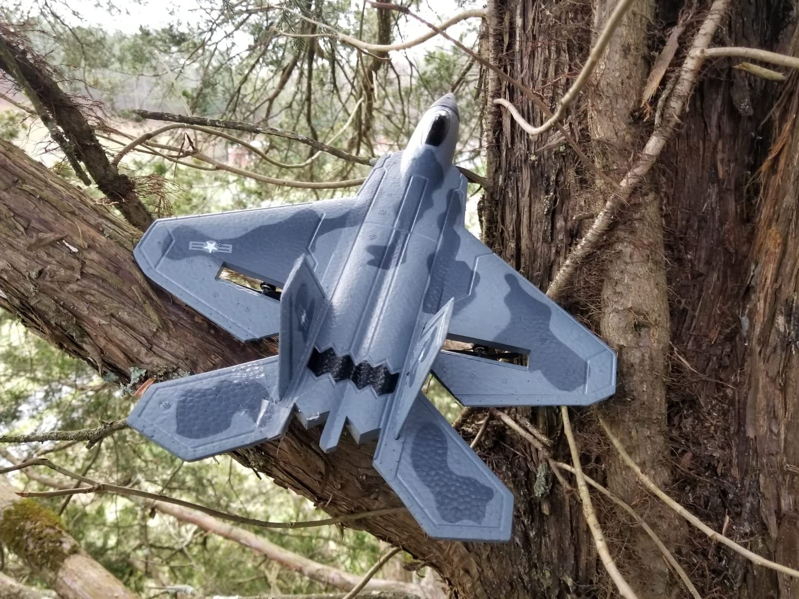 2CH F-22 RC Glider, Easy Fly RC Plane for Kids & Beginners | 2.4GHz anti-interference, stable flight, crash-resistant foam, RTF for kid beginners, Ready to fly out of box customer photo 2