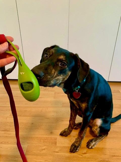 Earth Rated Dog Poop Bag Holder with Dog Poop Bags, Durable and Guaranteed Leakproof, Lavender Scented, 1 Dispenser and 15 Bags customer photo 2