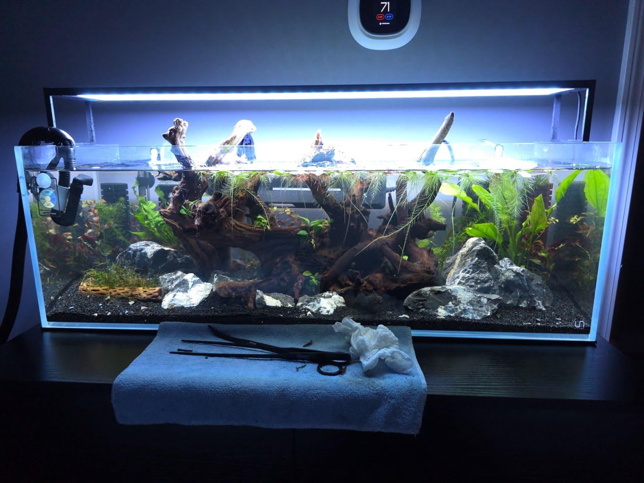 Ultum Nature Systems Ultra Clear Rimless Aquarium - Low Iron Glass Fish Tank with 45° Mitered Edges, 5mm-12mm Thick, Leveling Mat Included (5S, Shallow, 2 Gallon) customer photo 1