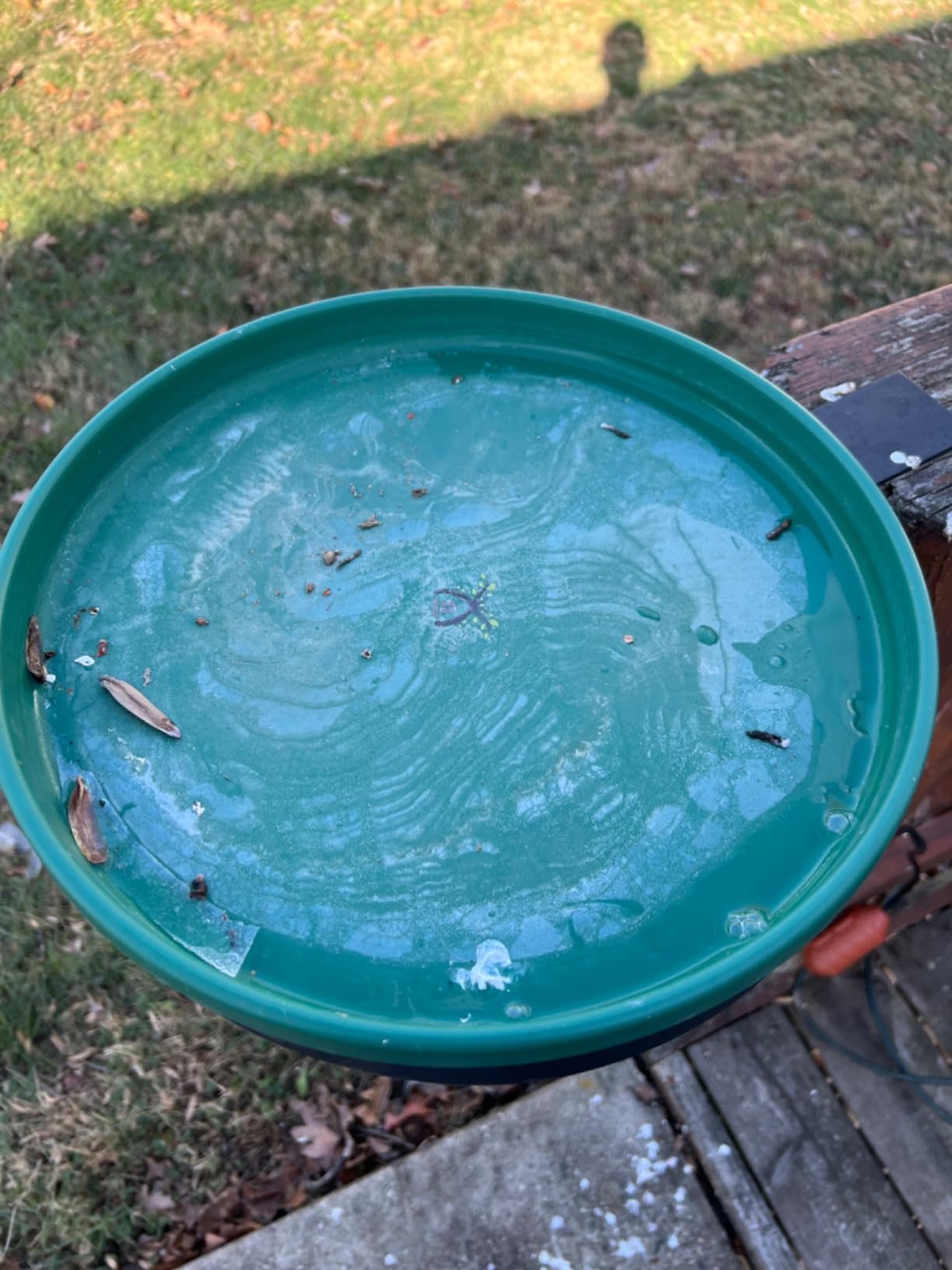 Heated Bird Bath, 3 Easy Ways to Mount Heavy Duty Metal Pedestal Detachable Bird Bath Bowl for Easy Cleaning, 75W Heated Bird Baths for Outdoors for Winter Garden Yard Patio Lawn, Green customer photo 1
