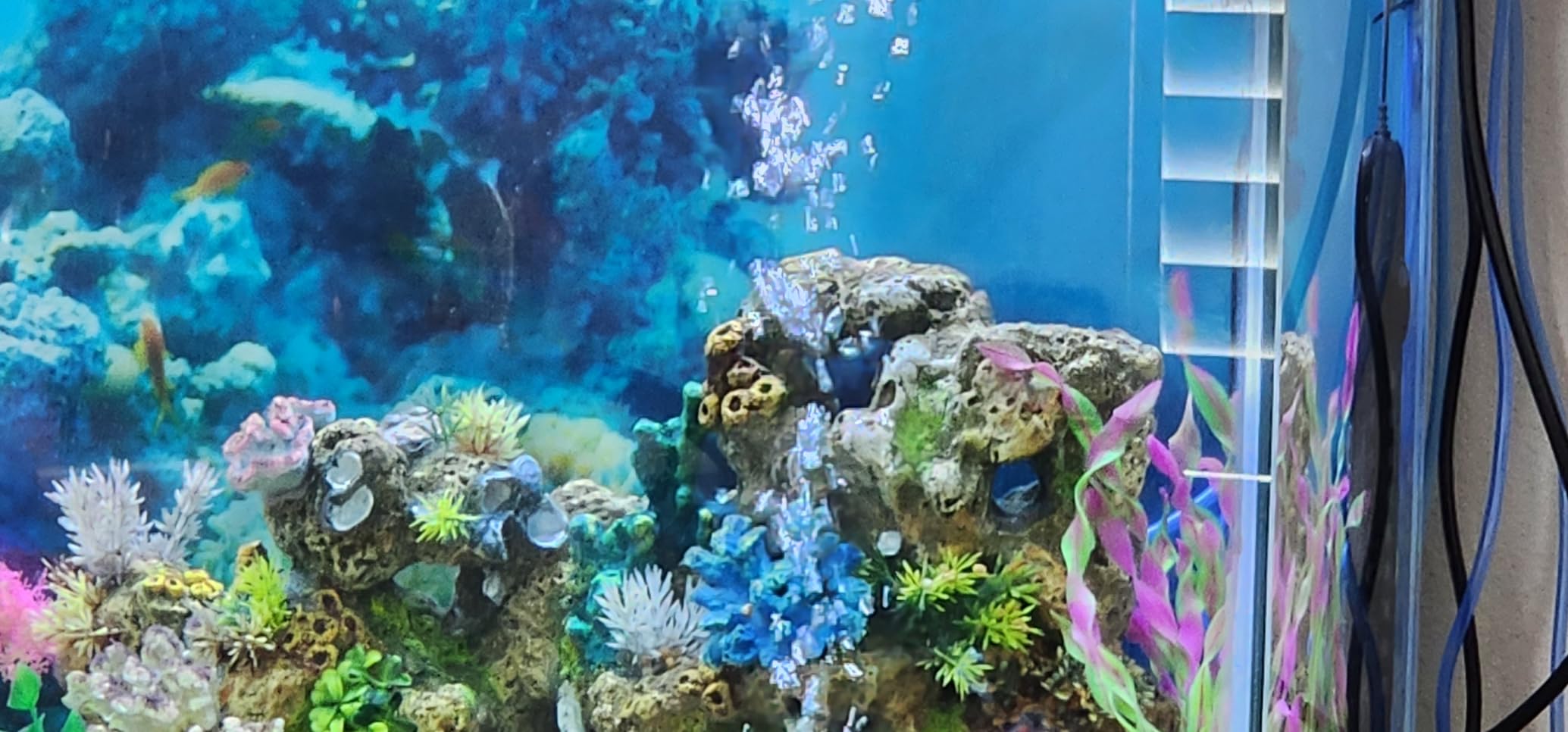 AquaMiracle Aquarium Air Pump Commercial Air Pump with Aluminum Housing, 600/1000/1200/1750GPH Fish Tank Bubbler Pond Aerator for Aquariums, Ponds, Hydroponics customer photo 1