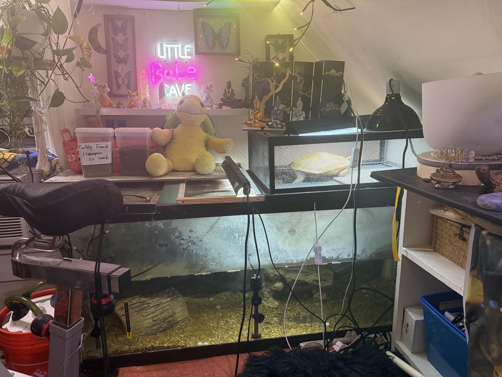REPTI ZOO T5 HO UVB Lighting Combo Kit, Terrarium Hood Comes with Desert 10.0 UVB T5 Lamp (24W) customer photo 1