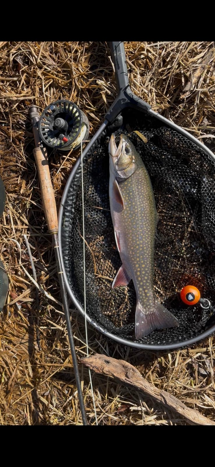 Frabill Floating Trout Net customer photo 1