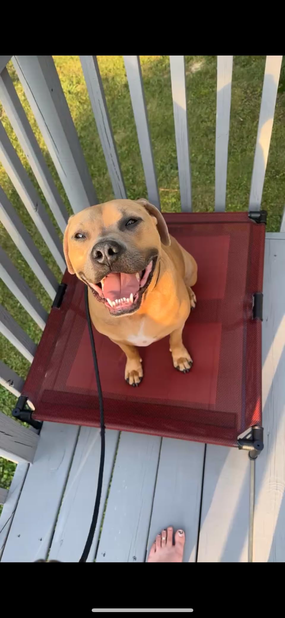 suddus Elevated Dog Bed for Large Dogs 120lb, Breathable Cooling Raised Dog Cot with Dual Support Bars & Metal Frame, No-Slip Feet, Waterproof Pet Bed for Indoor/Outdoor, X-Large, 48 * 36 * 9in, Grey customer photo 2