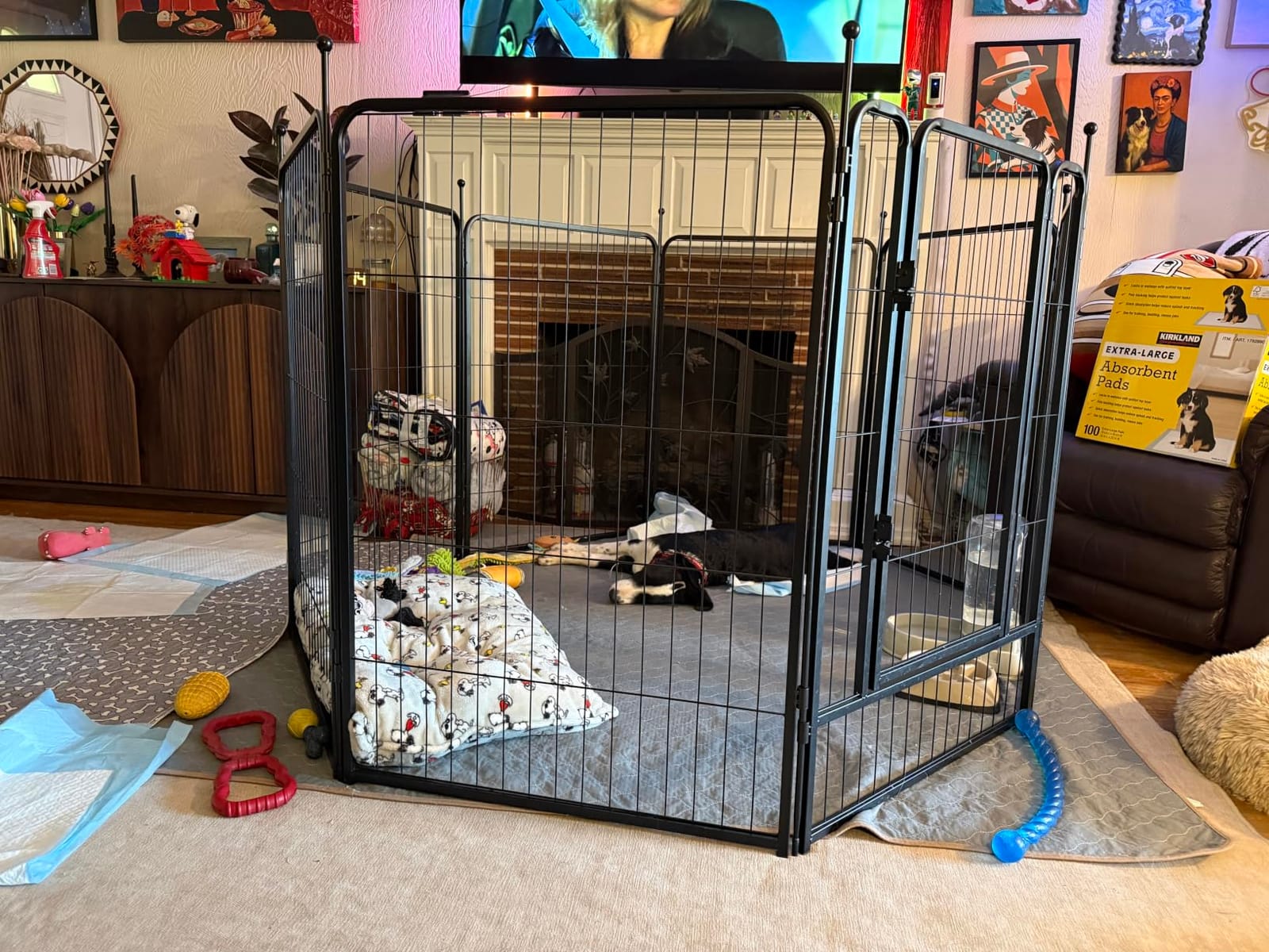 FXW Rollick Dog Playpen, Indoor, Yard & RV Camping, 32