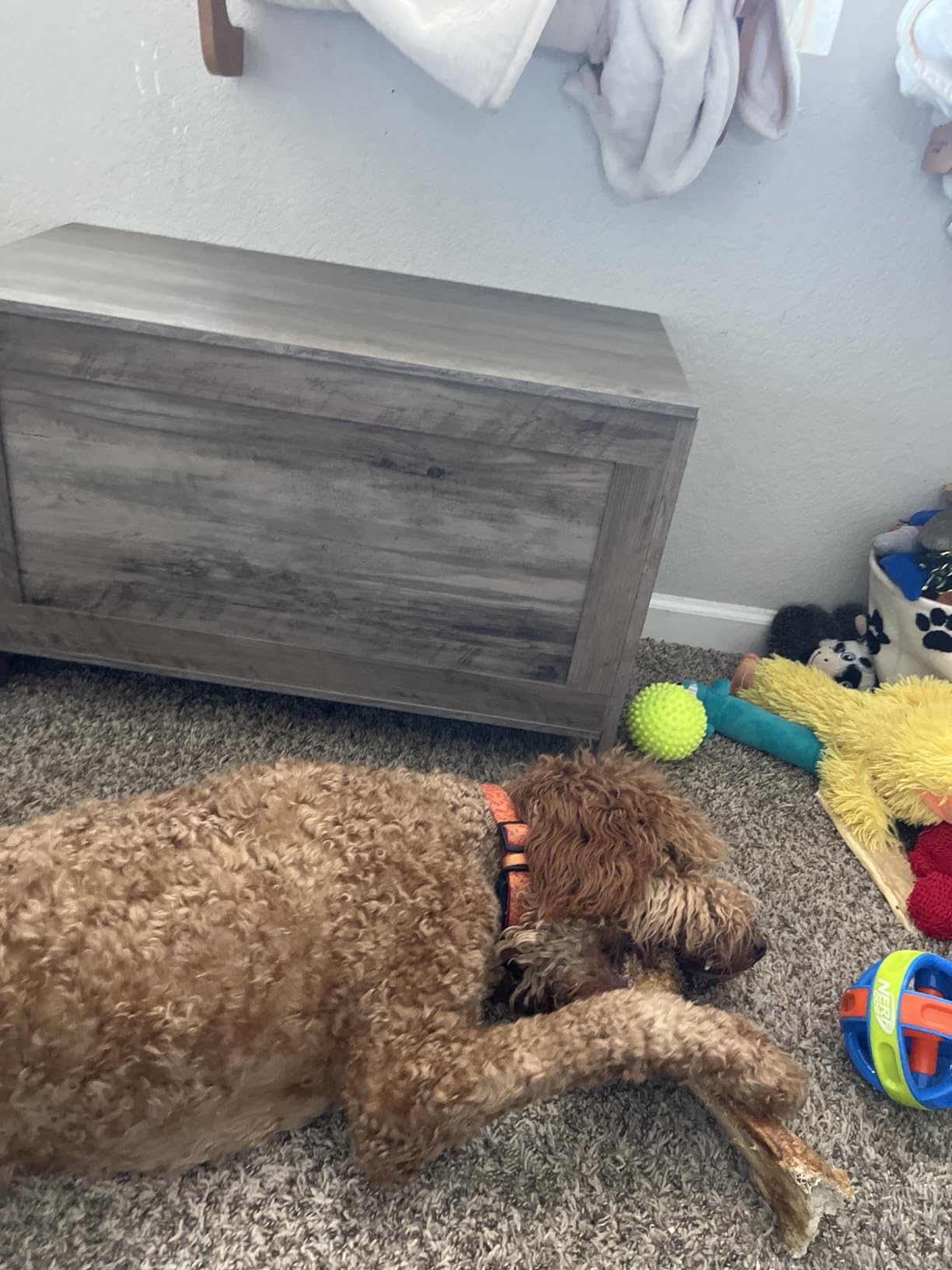 HOOBRO Toy Box, Retro Wooden Look Storage Chest with Safety Hinge, Entryway Storage Bench Supports 330 lb, 29.9 x 15.7 x 18.9 Inches Toy Chest Organizer, Easy Assembly (Greige) BG75CW01G2 customer photo 1