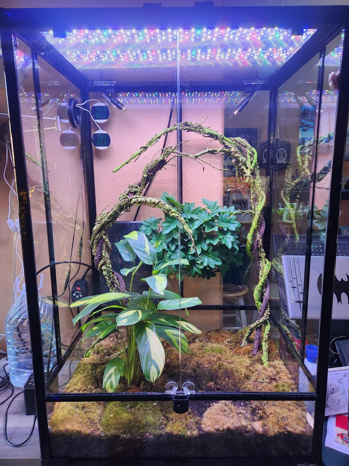 REPTI ZOO Upgrade Reptile Heat Mat with Thermostat - 8 x 12 Inch for 30-40 gal Tank customer photo 2