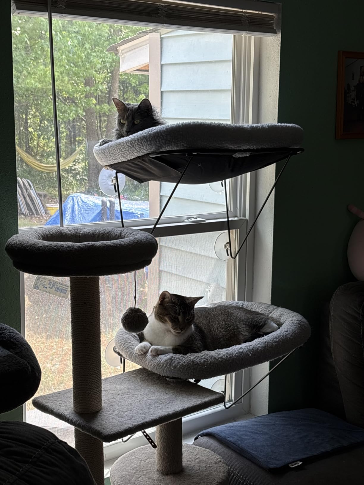 Zakkart Cat Window Perch, 100% Metal Supported from Below (White) | Heavy-Duty Metal Frame, Machine Washable Spacious Pet Bed, Support up to 40 lbs customer photo 2