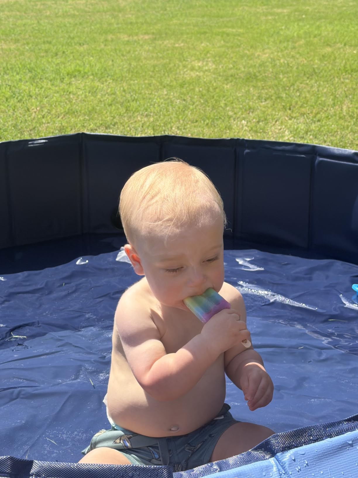 Jecoo Dog Pool for Large Dogs Kiddie Pool Hard Plastic Foldable Dog Bathing Tub Portable Outside Kids Swimming for Pets and Dogs Outdoor Backyard customer photo 1