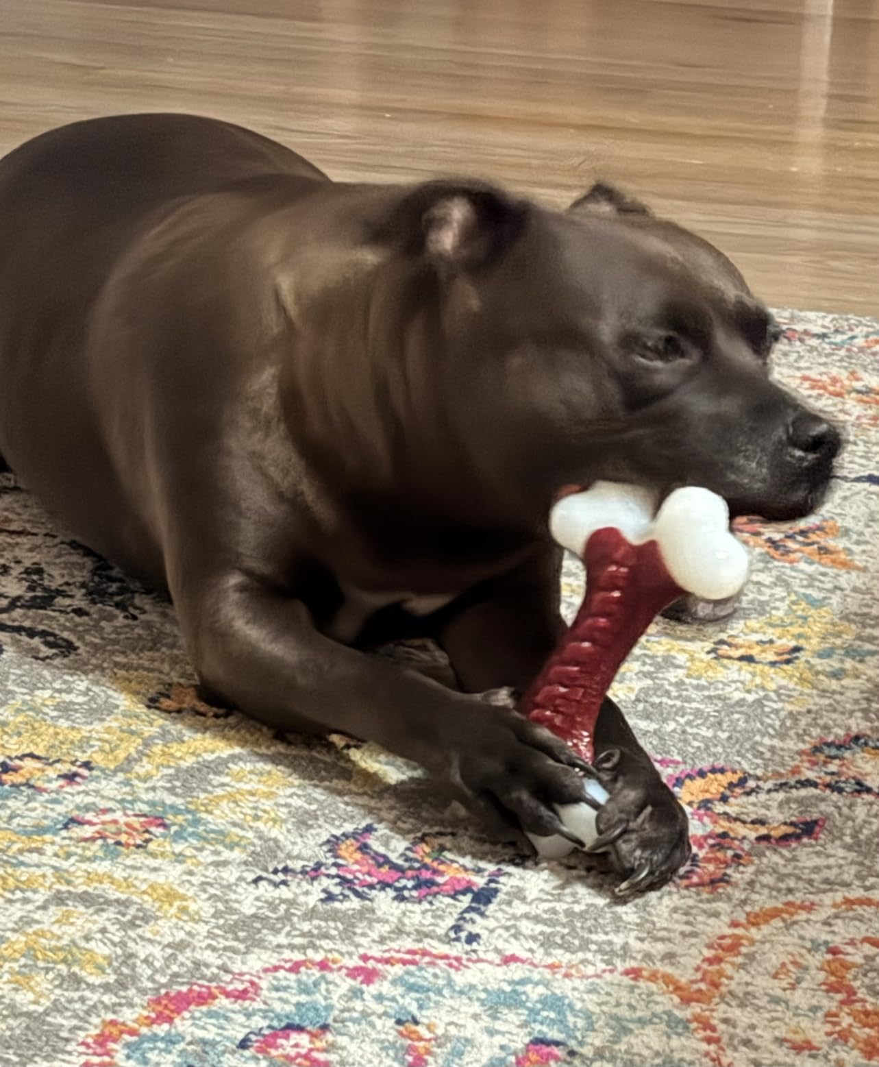 Kseroo Tough Dog Chew Toys for Aggressive Chewers 20-90lbs, Beef Flavored customer photo 2